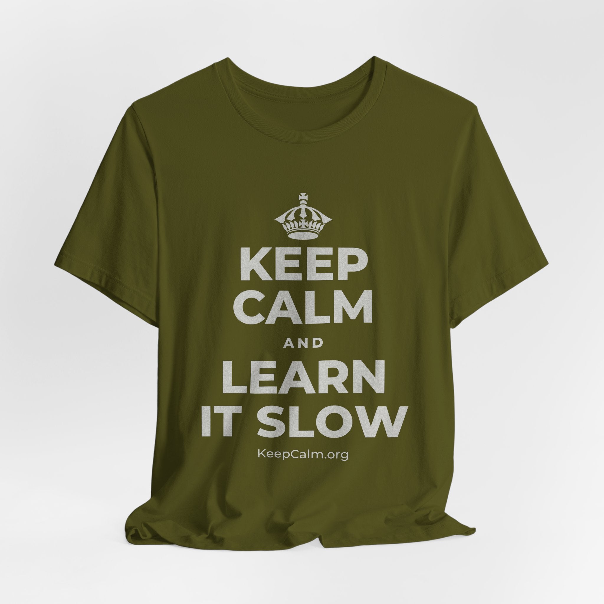 KEEP CALM AND LEARN IT SLOW T-Shirt (Baby Blue–Silver)