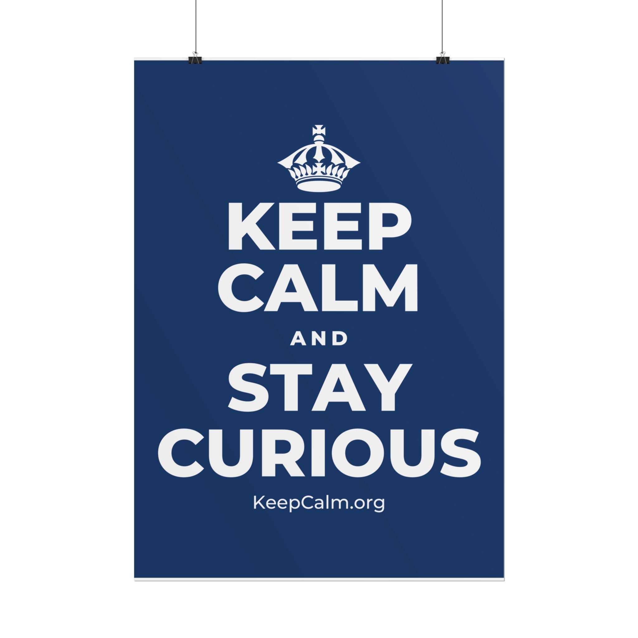 KEEP CALM AND STAY CURIOUS Poster