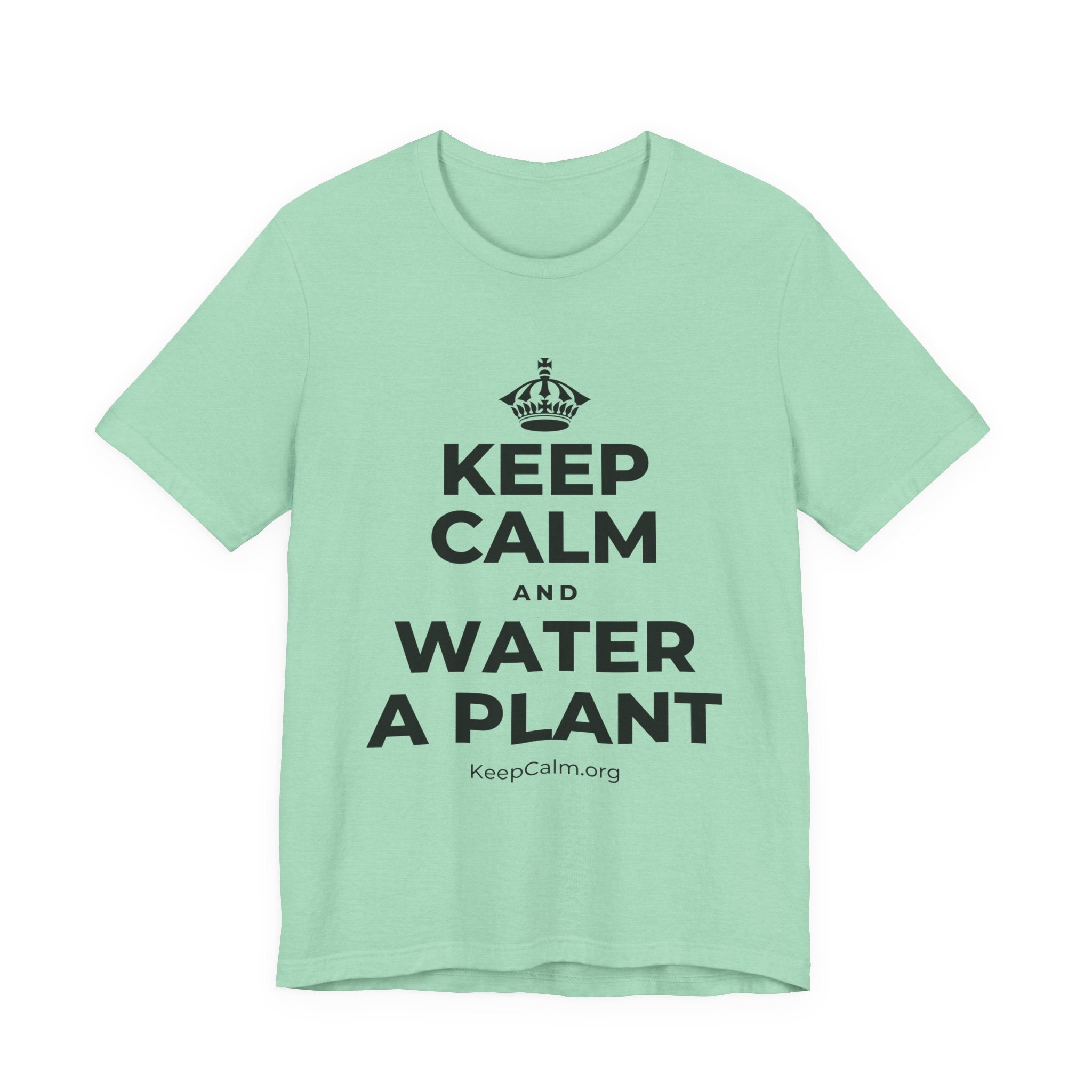 KEEP CALM AND WATER A PLANT T-Shirt (Baby Blue–Silver)