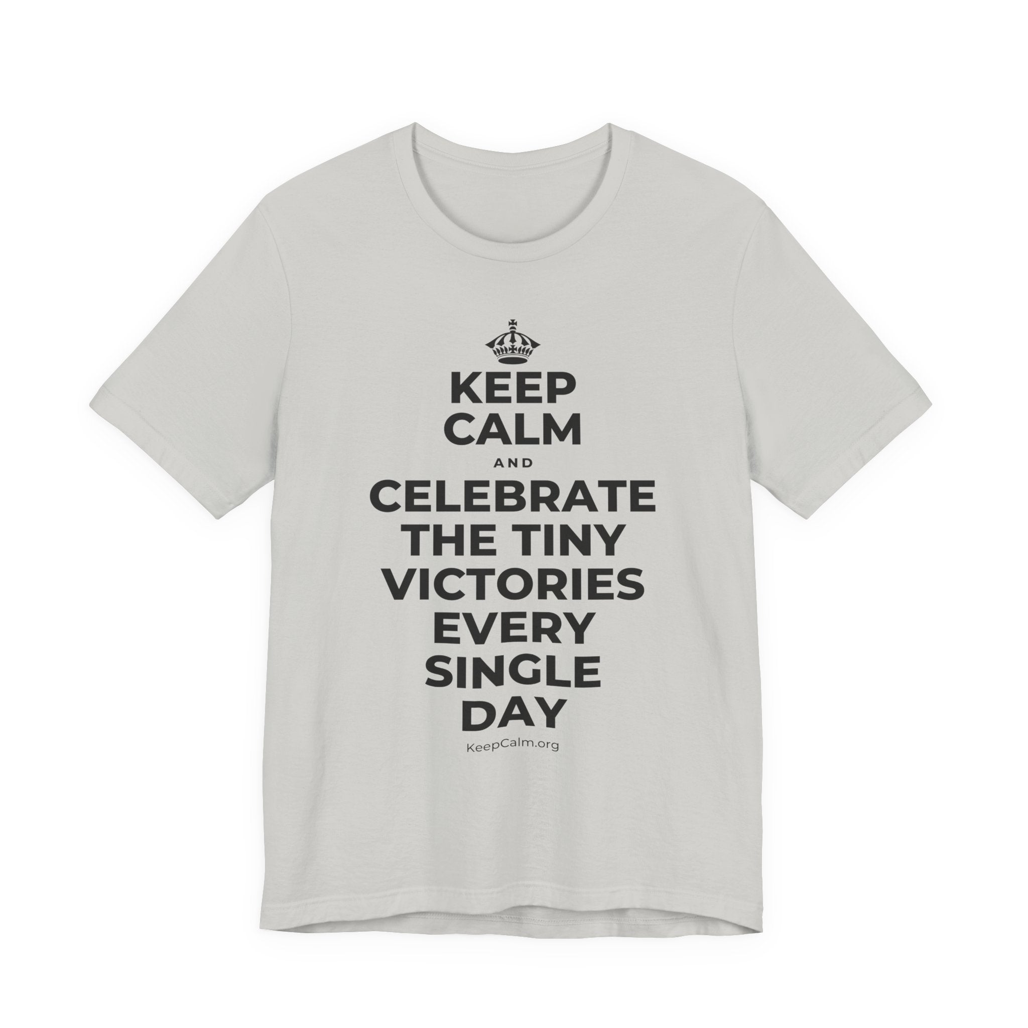 KEEP CALM AND CELEBRATE THE TINY VICTORIES EVERY SINGLE DAY T-Shirt (Baby Blue–Silver)