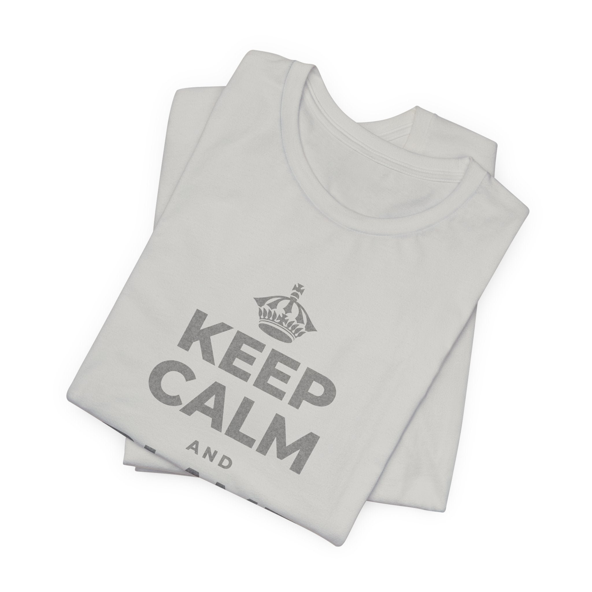 KEEP CALM AND BLAME MERCURY T-Shirt (Baby Blue–Silver)