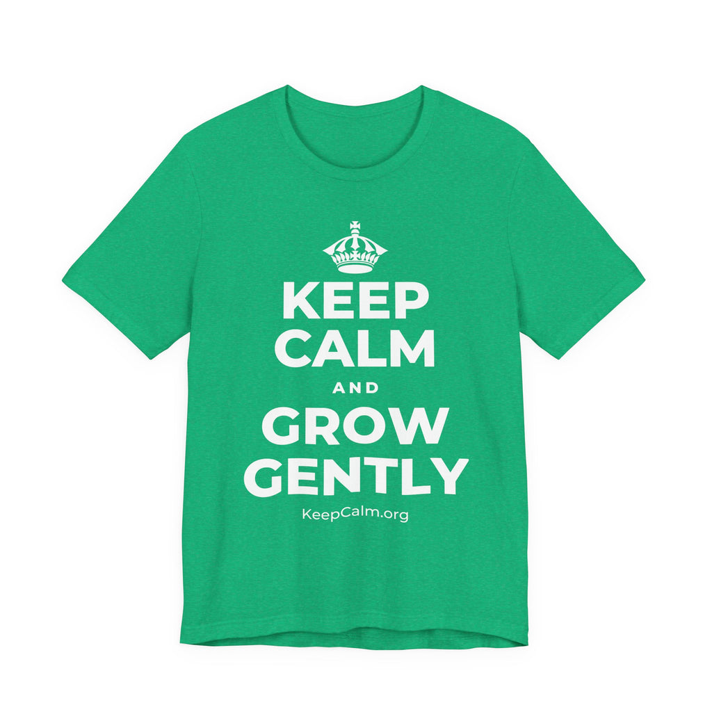 KEEP CALM AND GROW GENTLY T-Shirt (Baby Blue–Silver)