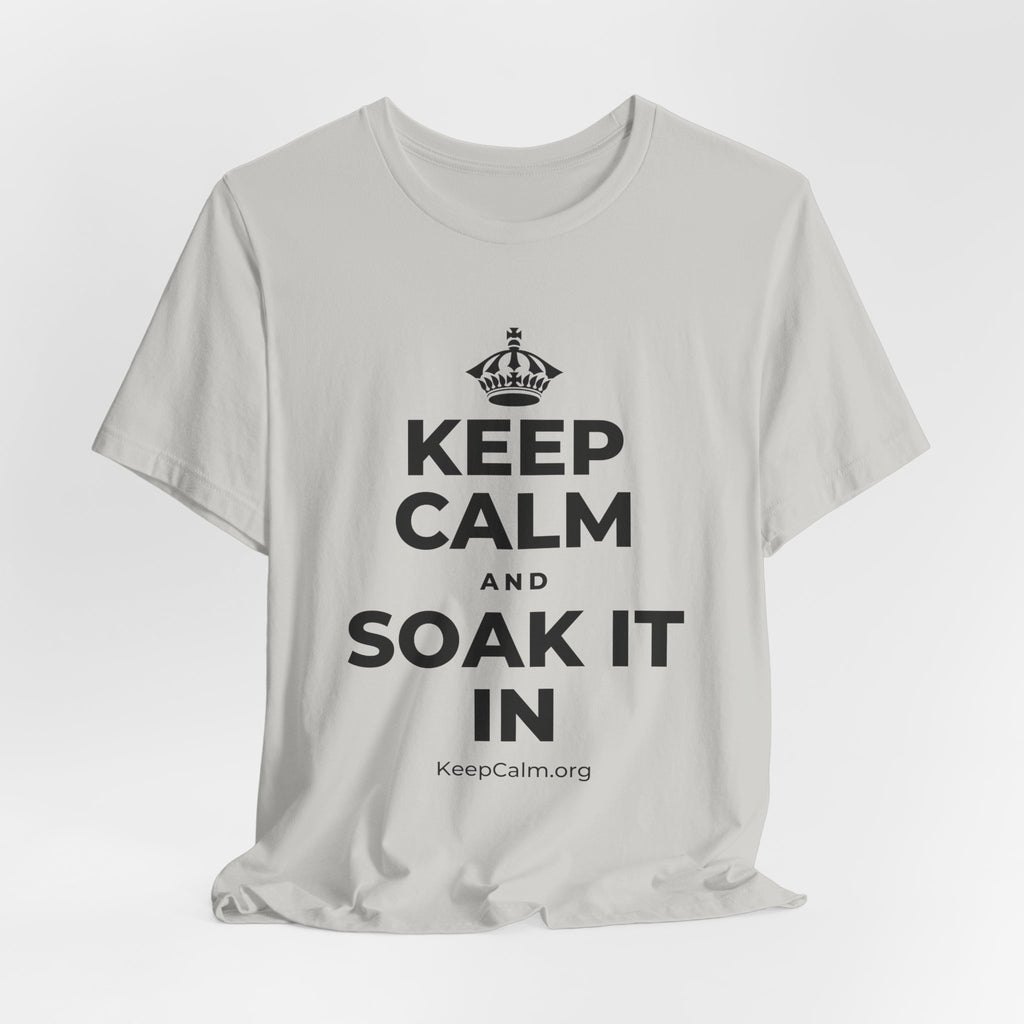 KEEP CALM AND SOAK IT IN T-Shirt (Baby Blue–Silver)
