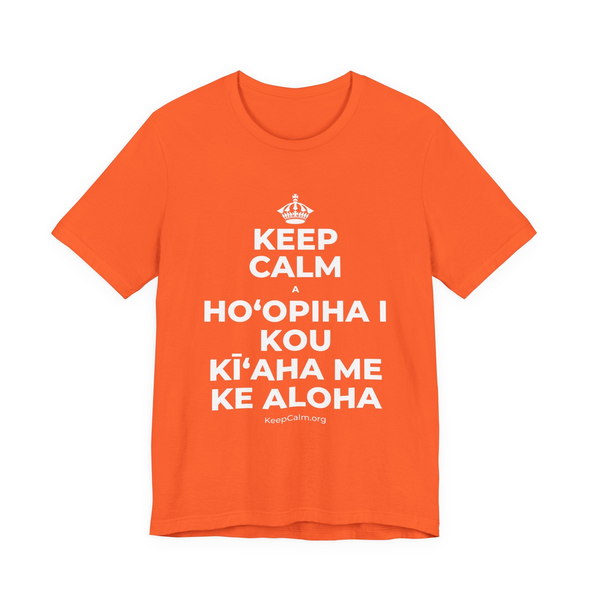 KEEP CALM A HOʻOPIHA I KOU KĪʻAHA ME KE ALOHA T-Shirt (Baby Blue–Silver)