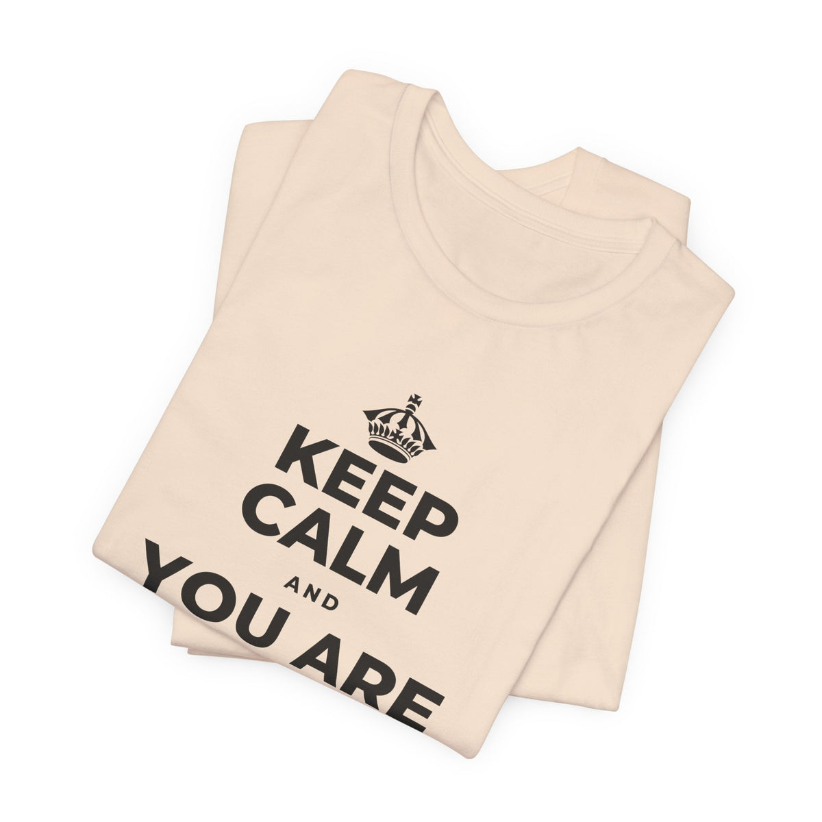 KEEP CALM AND YOU ARE DOING GREAT TODAY T-Shirt (Soft Cream–Heather Mauve)