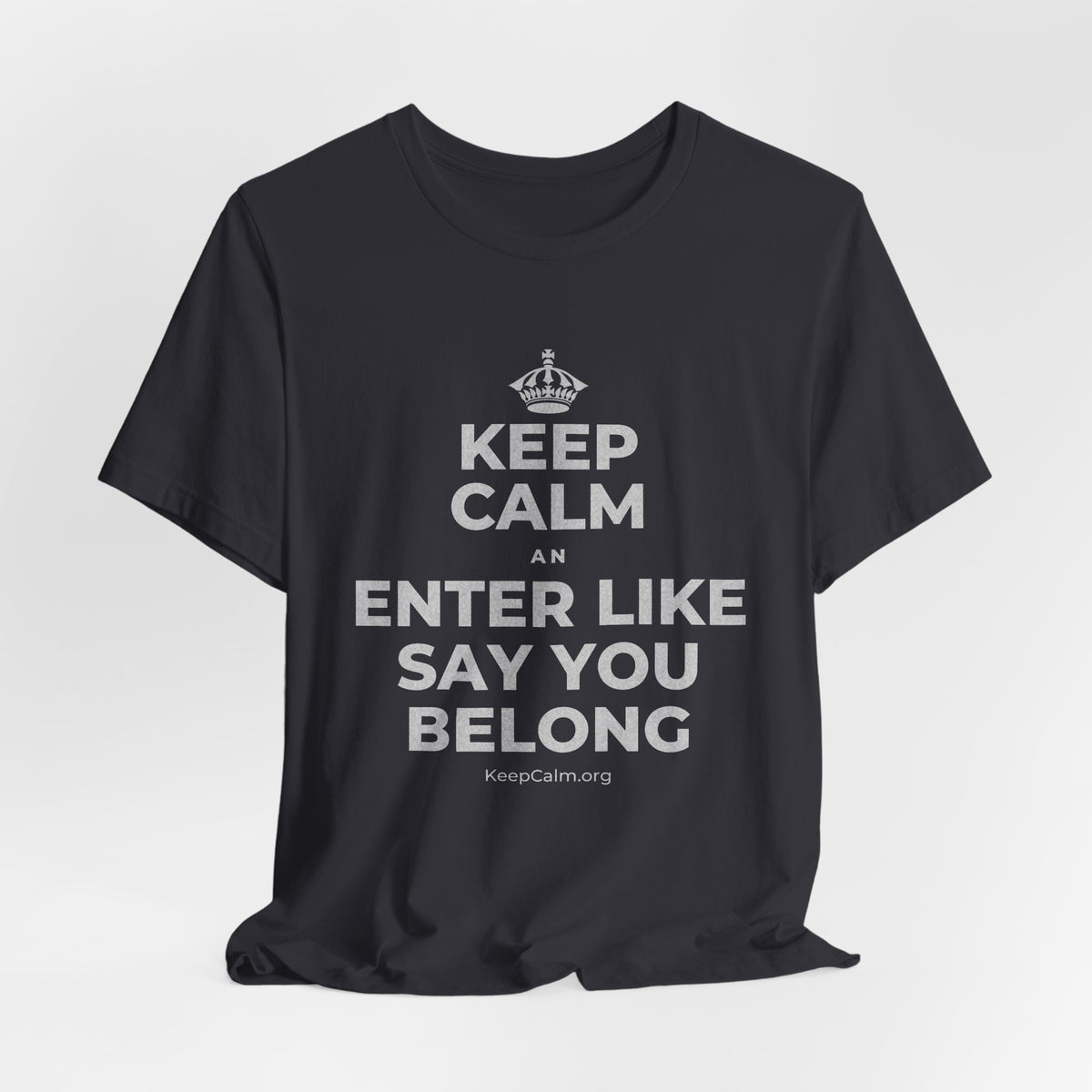 KEEP CALM AN ENTER LIKE SAY YOU BELONG T-Shirt (Baby Blue–Silver)