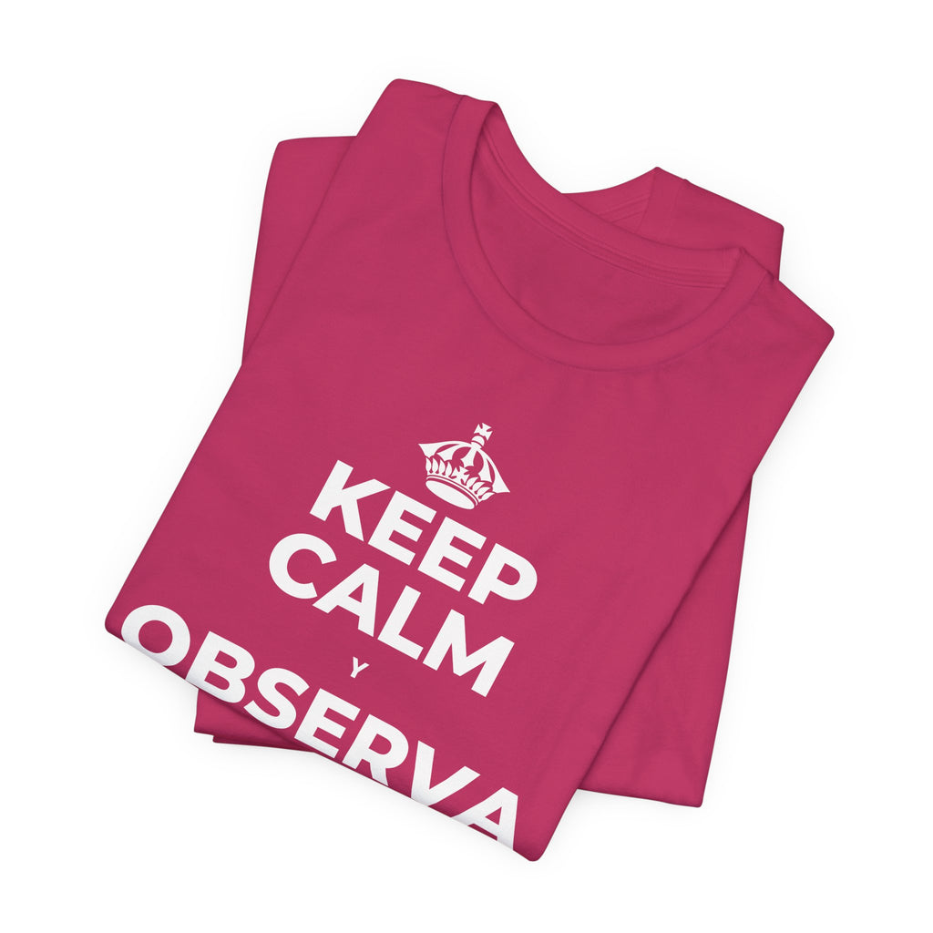 KEEP CALM Y OBSERVA CÓMO TODO FLORECE T-Shirt (Baby Blue–Silver)