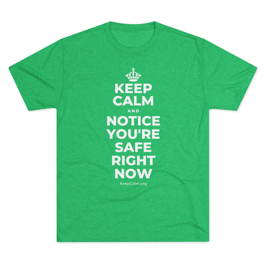 KEEP CALM AND NOTICE YOU'RE SAFE RIGHT NOW Tri-Blend Tee