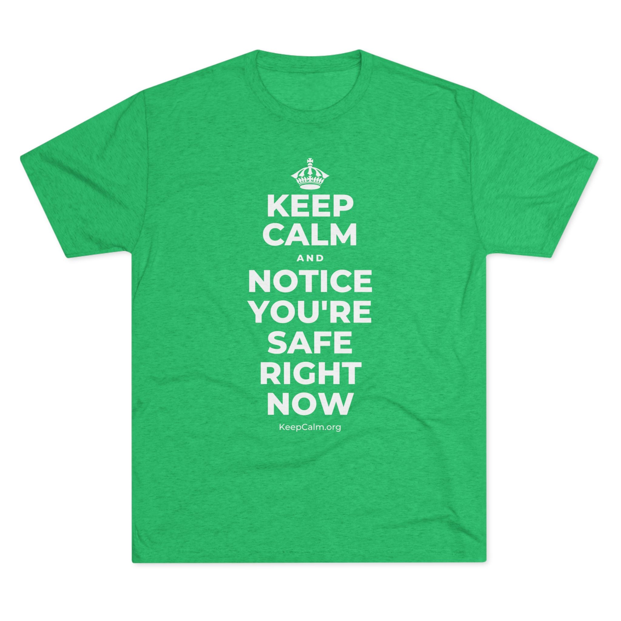 KEEP CALM AND NOTICE YOU'RE SAFE RIGHT NOW Tri-Blend Tee