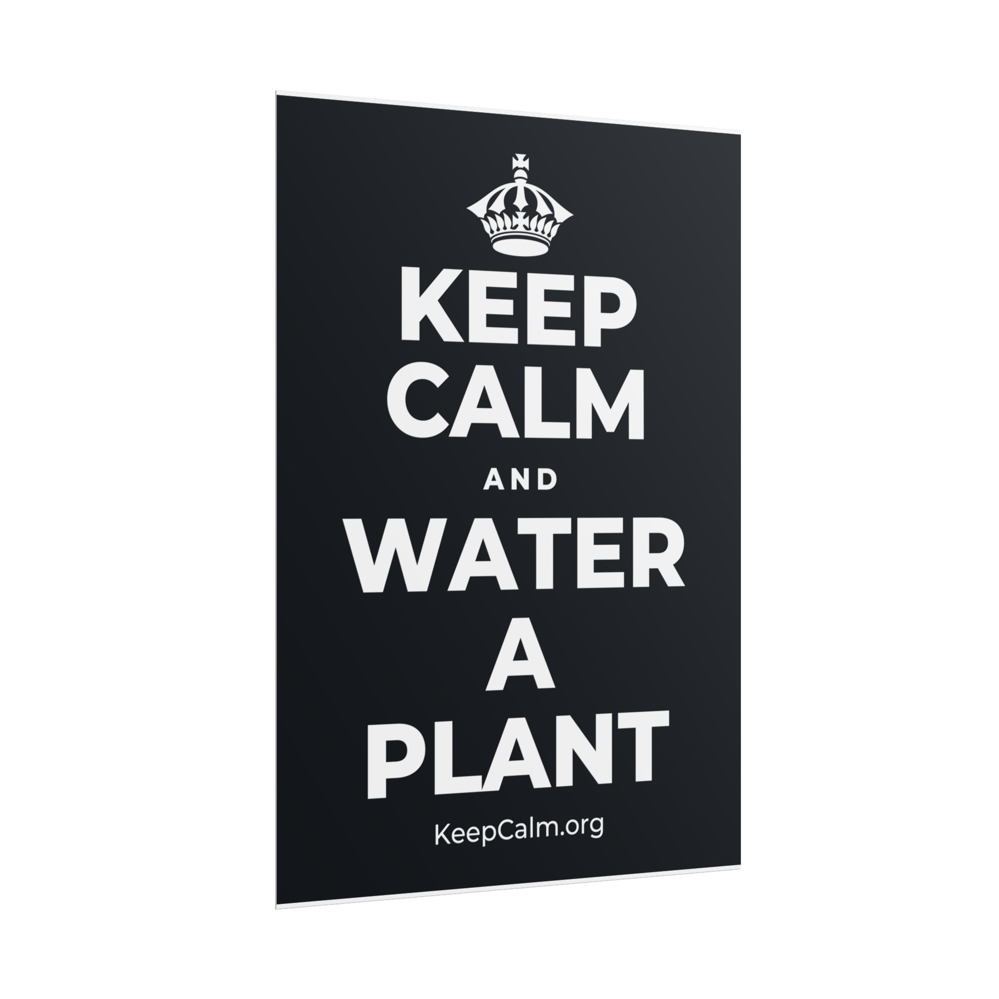 KEEP CALM AND WATER A PLANT Poster (Dark)