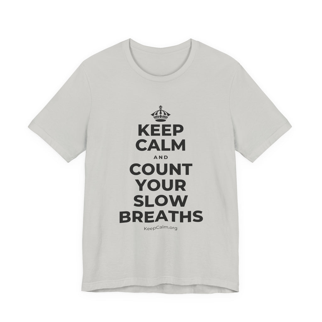 KEEP CALM AND COUNT YOUR SLOW BREATHS T-Shirt (Baby Blue–Silver)
