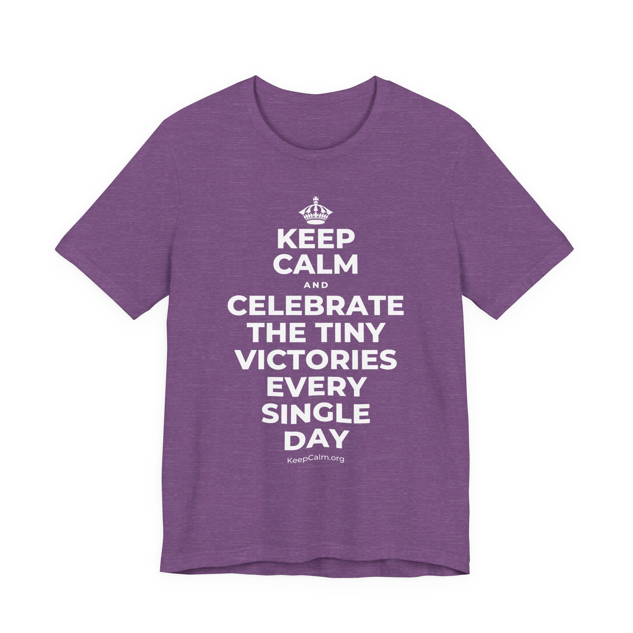 KEEP CALM AND CELEBRATE THE TINY VICTORIES EVERY SINGLE DAY T-Shirt (Baby Blue–Silver)