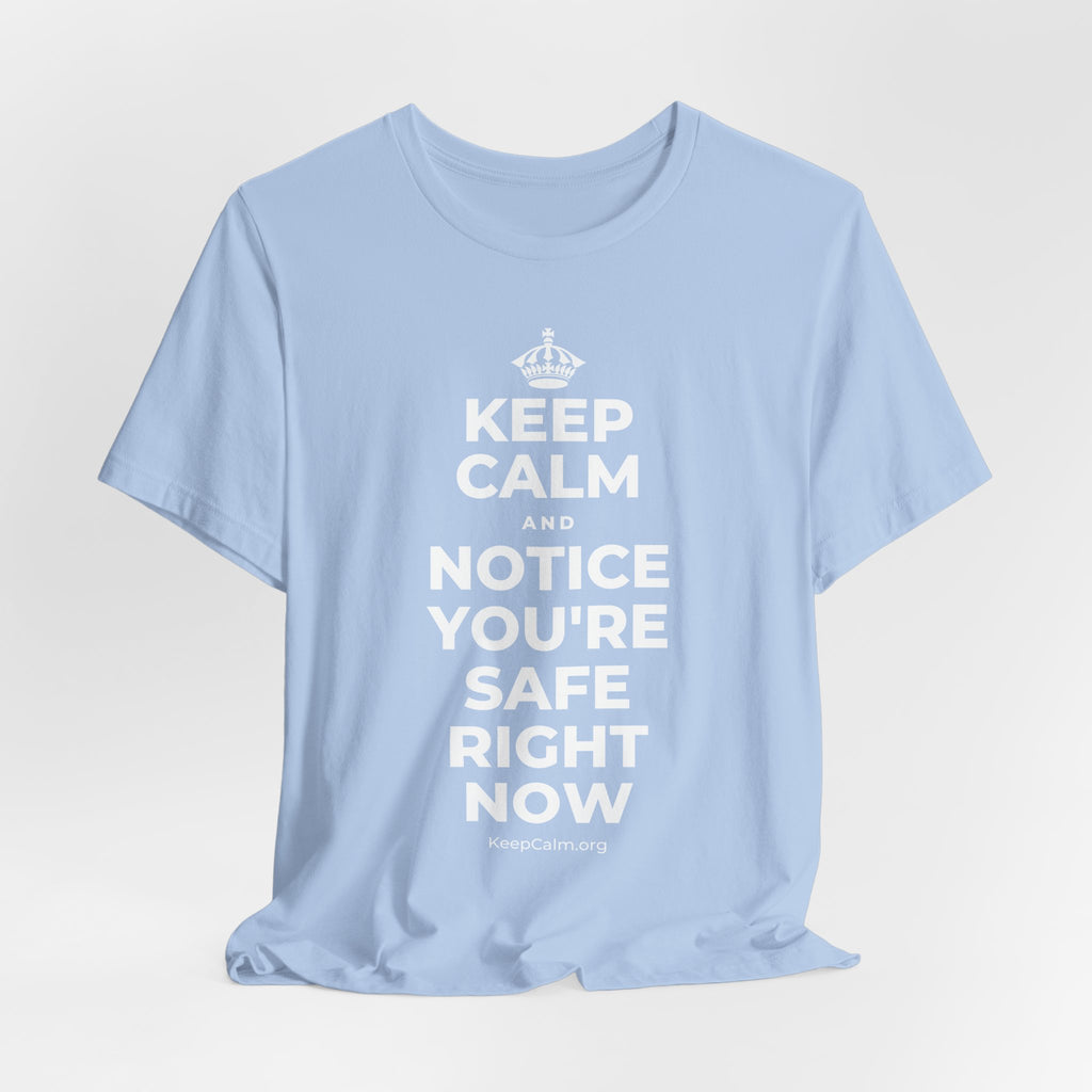 KEEP CALM AND NOTICE YOU'RE SAFE RIGHT NOW T-Shirt (Baby Blue–Silver)