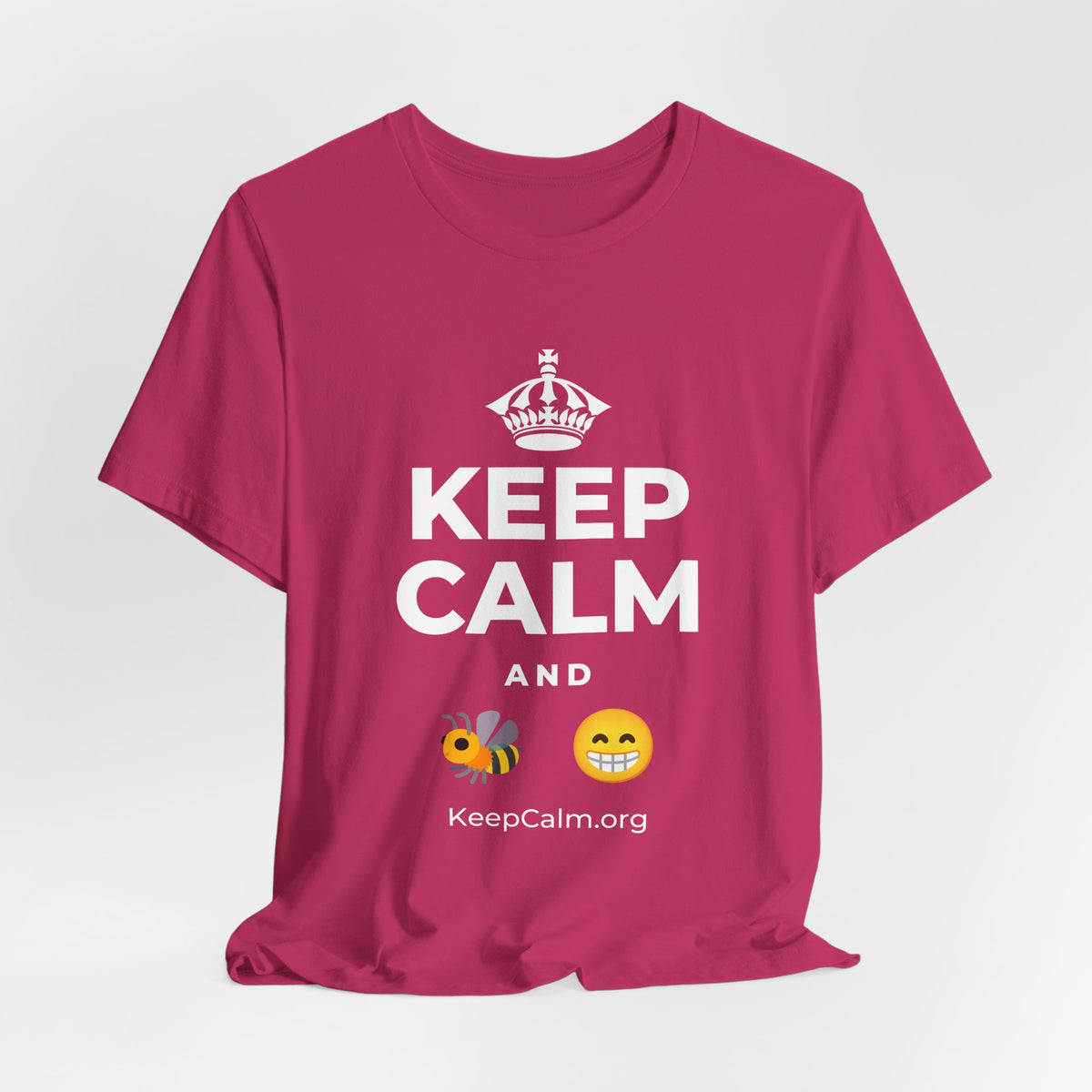 KEEP CALM AND BEE HAPPY T-Shirt (Baby Blue–Silver)