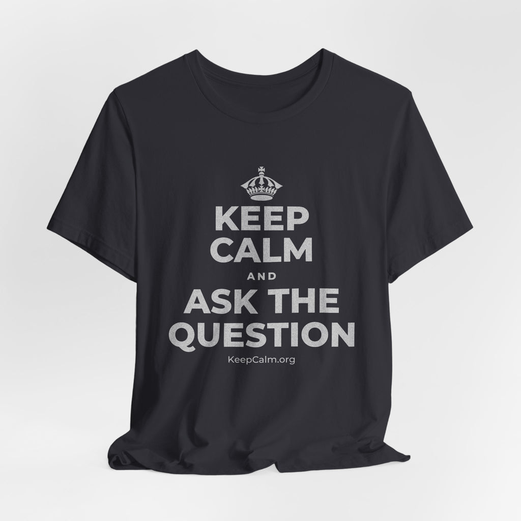 KEEP CALM AND ASK THE QUESTION T-Shirt (Baby Blue–Silver)