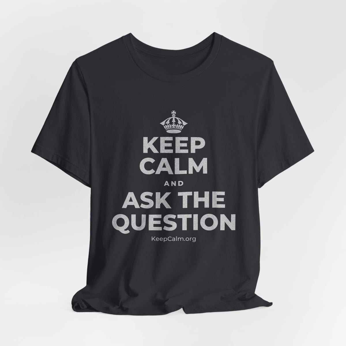 KEEP CALM AND ASK THE QUESTION T-Shirt (Baby Blue–Silver)