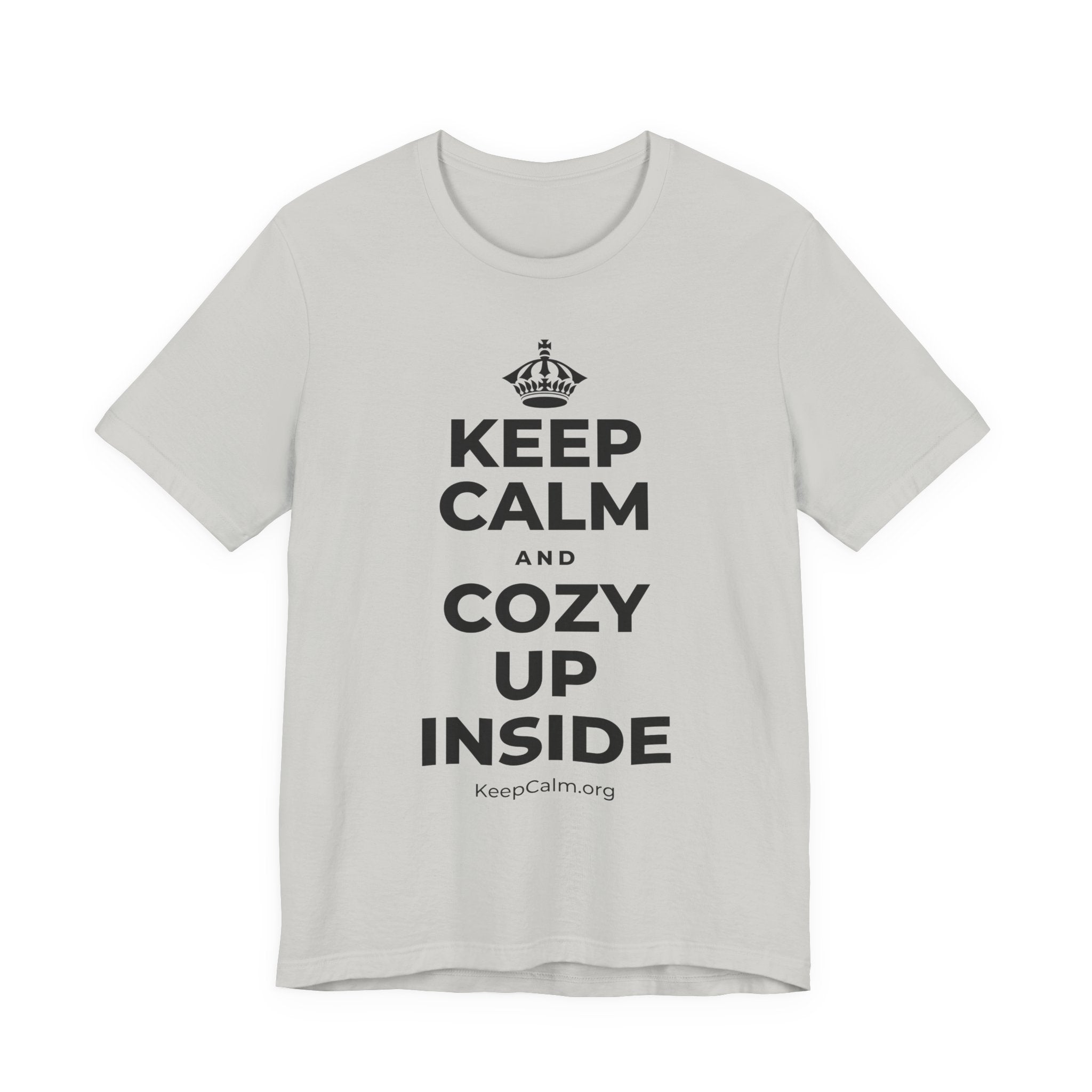 KEEP CALM AND COZY UP INSIDE T-Shirt (Baby Blue–Silver)