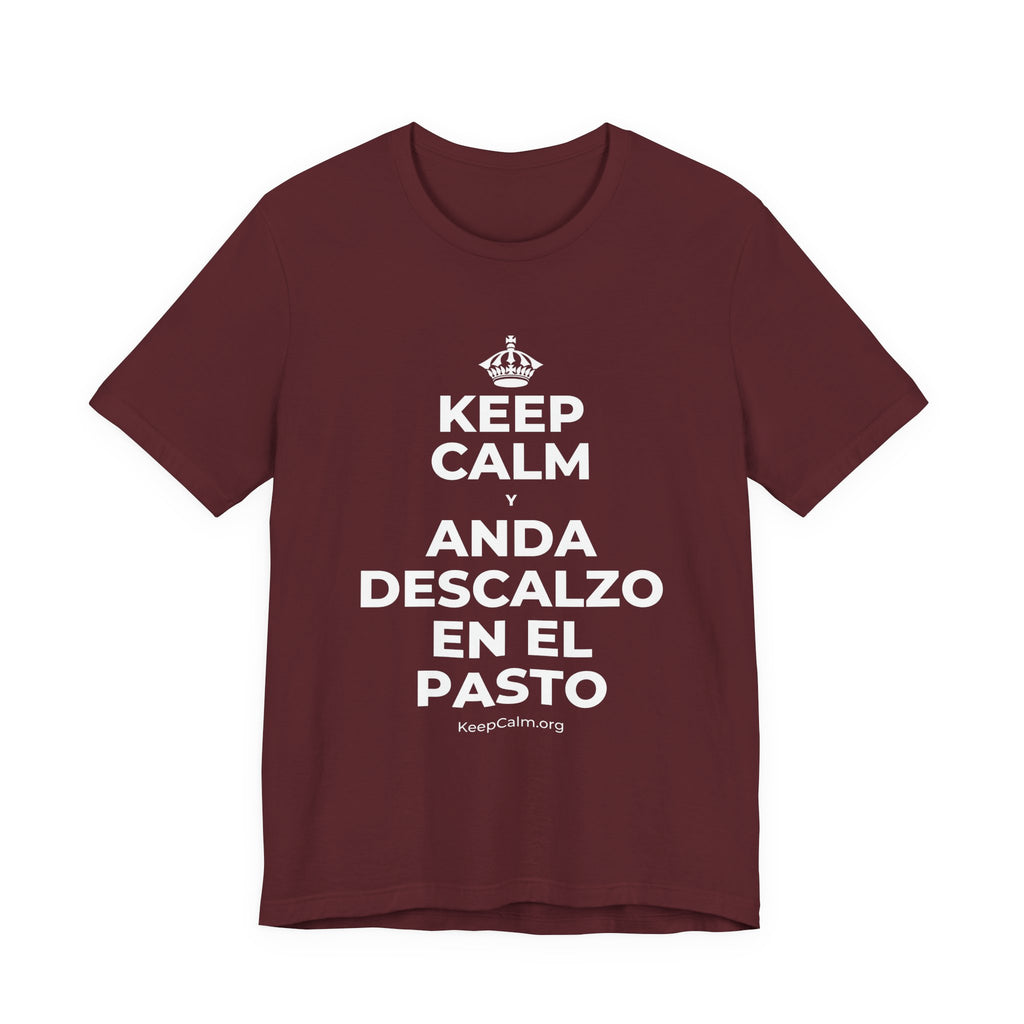 KEEP CALM Y ANDA DESCALZO EN EL PASTO T-Shirt (Baby Blue–Silver)