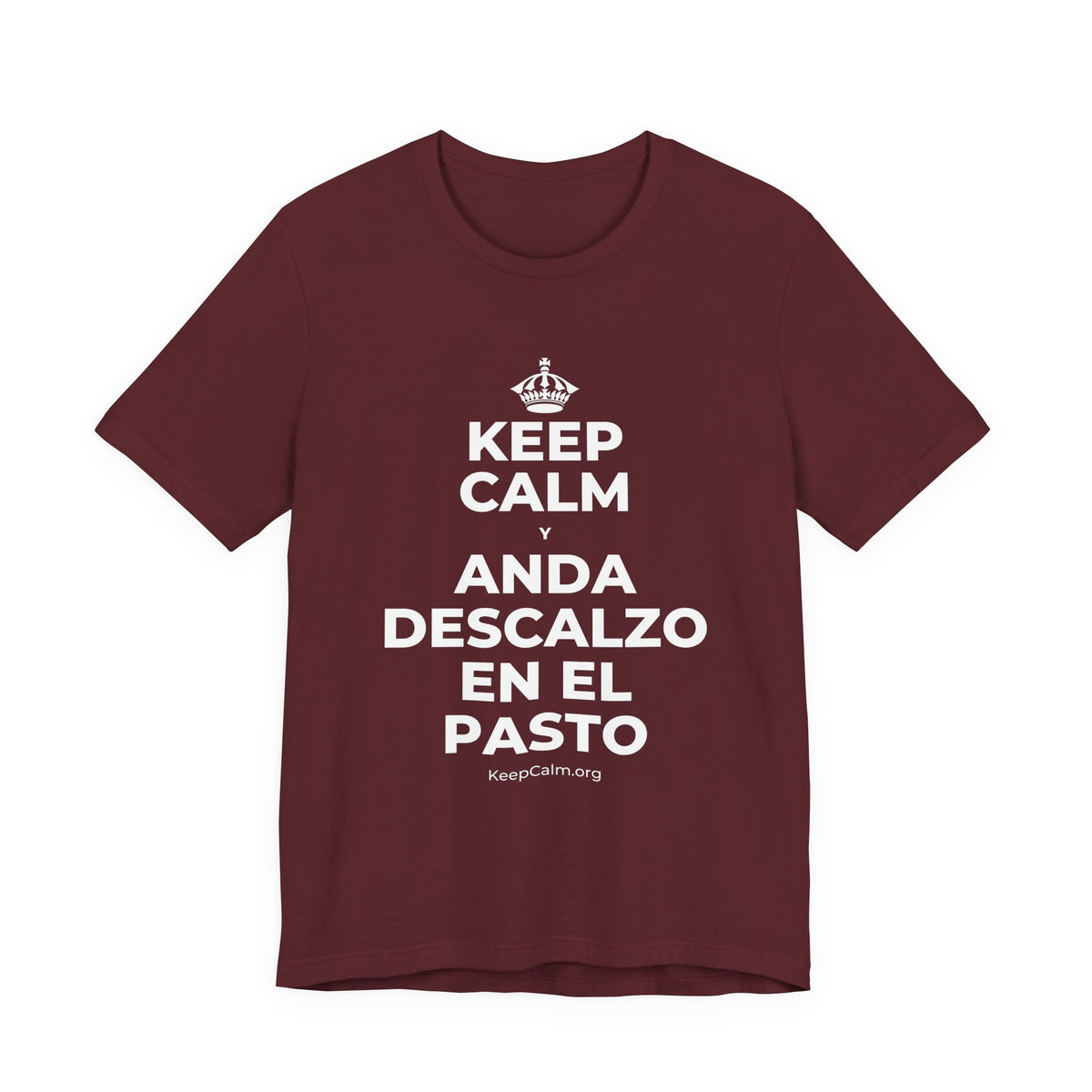 KEEP CALM Y ANDA DESCALZO EN EL PASTO T-Shirt (Baby Blue–Silver)