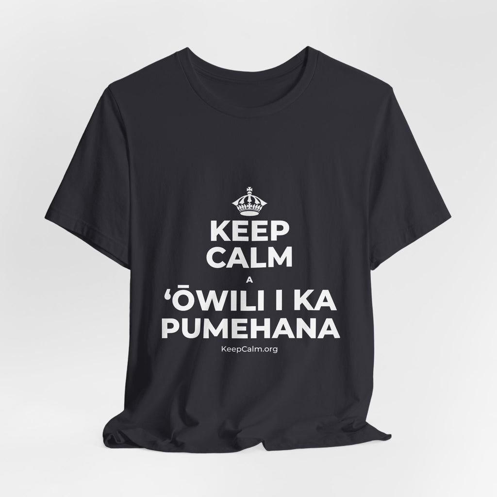 KEEP CALM A ʻŌWILI I KA PUMEHANA T-Shirt (Baby Blue–Silver)