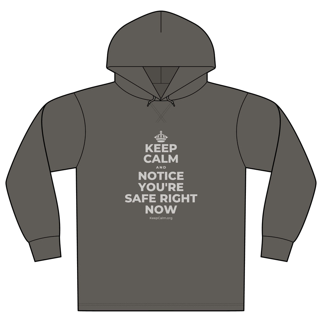KEEP CALM AND NOTICE YOU'RE SAFE RIGHT NOW Organic Hoodie Tee