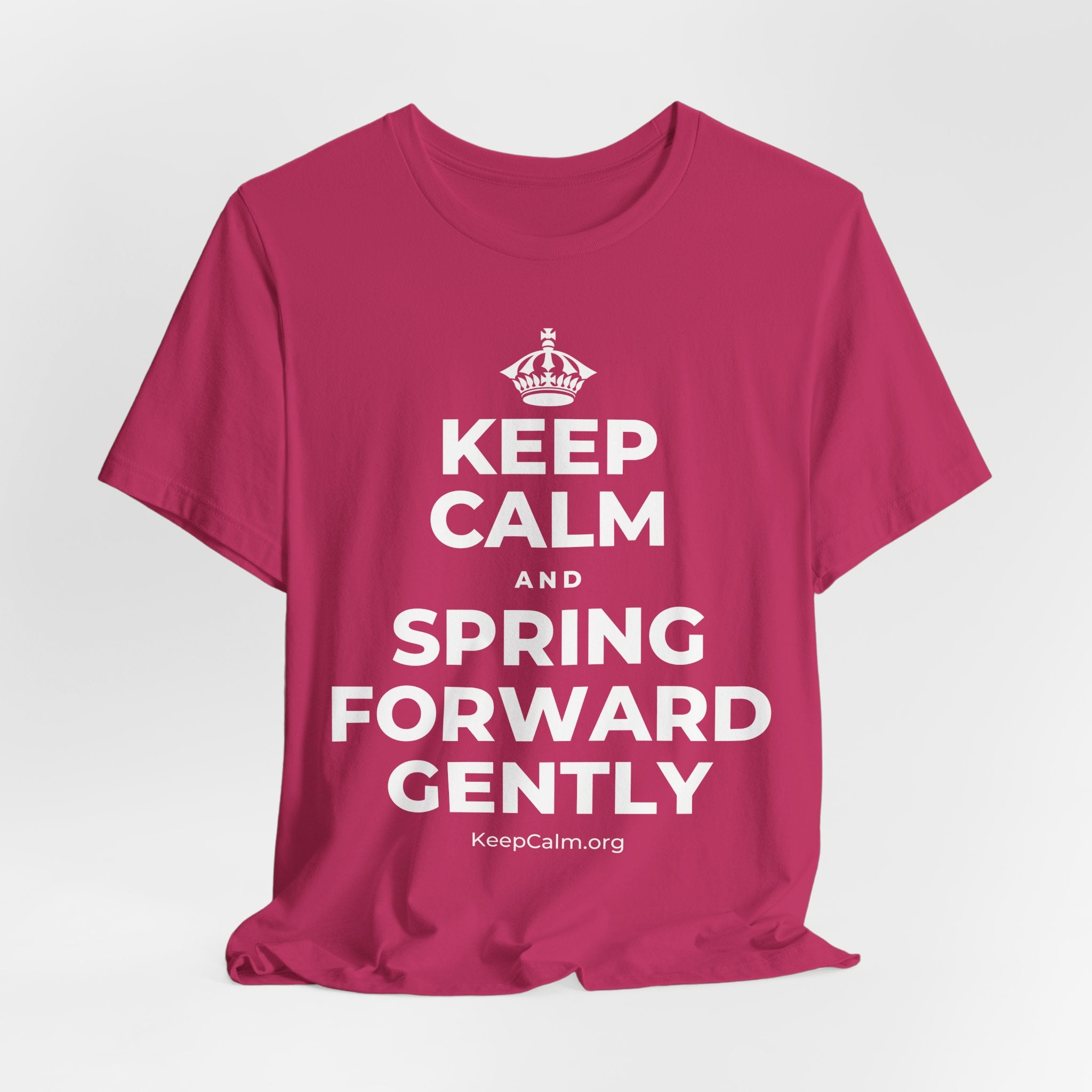 KEEP CALM AND SPRING FORWARD GENTLY T-Shirt (Baby Blue–Silver)