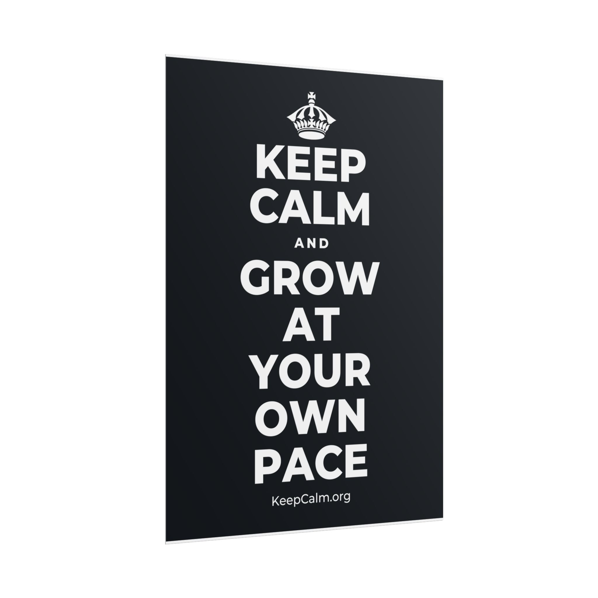 KEEP CALM AND GROW AT YOUR OWN PACE Poster (Dark)