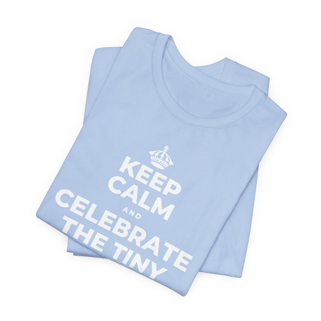 KEEP CALM AND CELEBRATE THE TINY VICTORIES EVERY SINGLE DAY T-Shirt (Baby Blue–Silver)