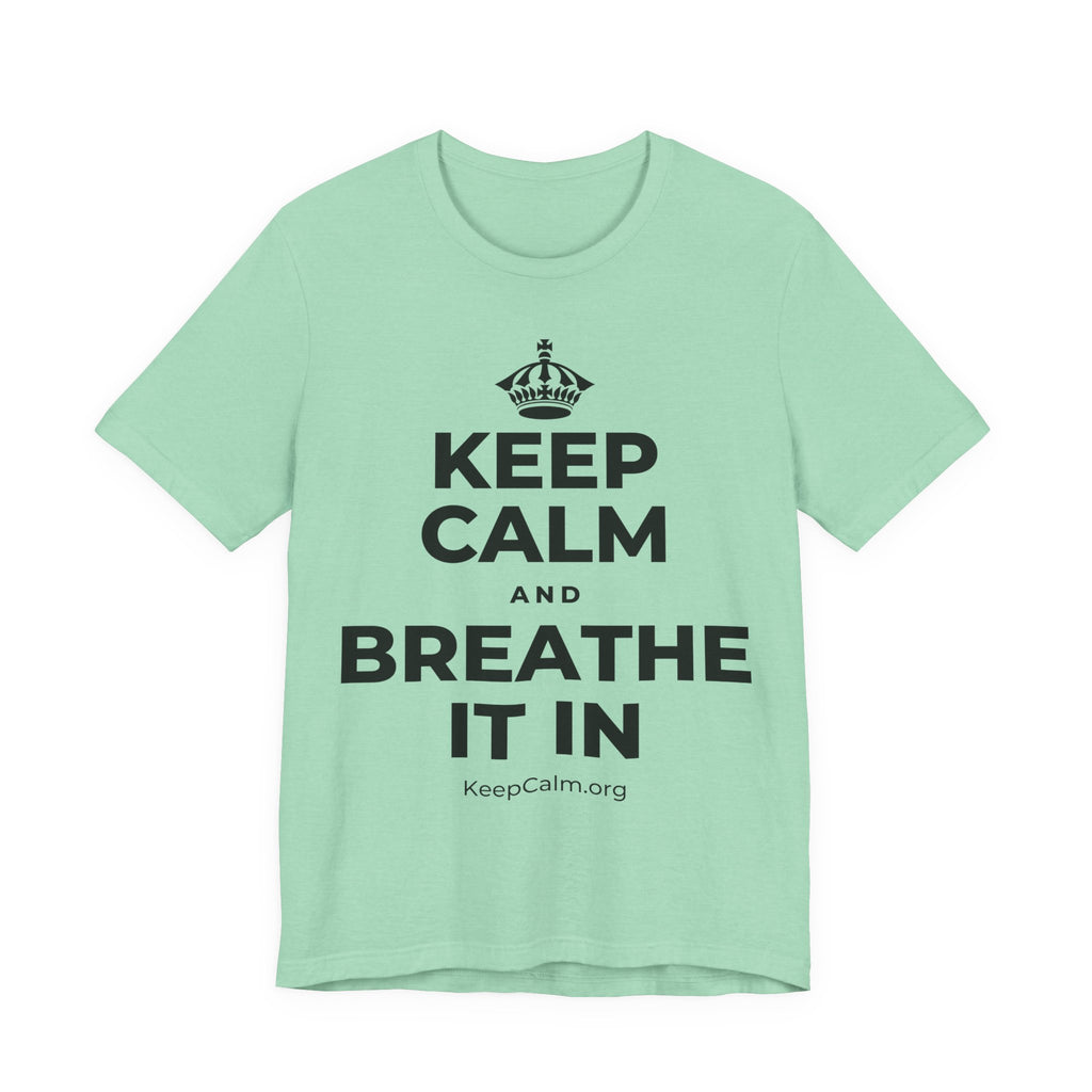 KEEP CALM AND BREATHE IT IN T-Shirt (Baby Blue–Silver)