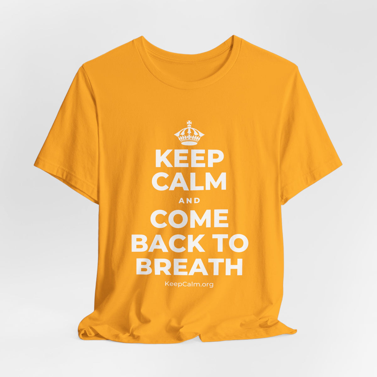 KEEP CALM AND COME BACK TO BREATH T-Shirt (Baby Blue–Silver)