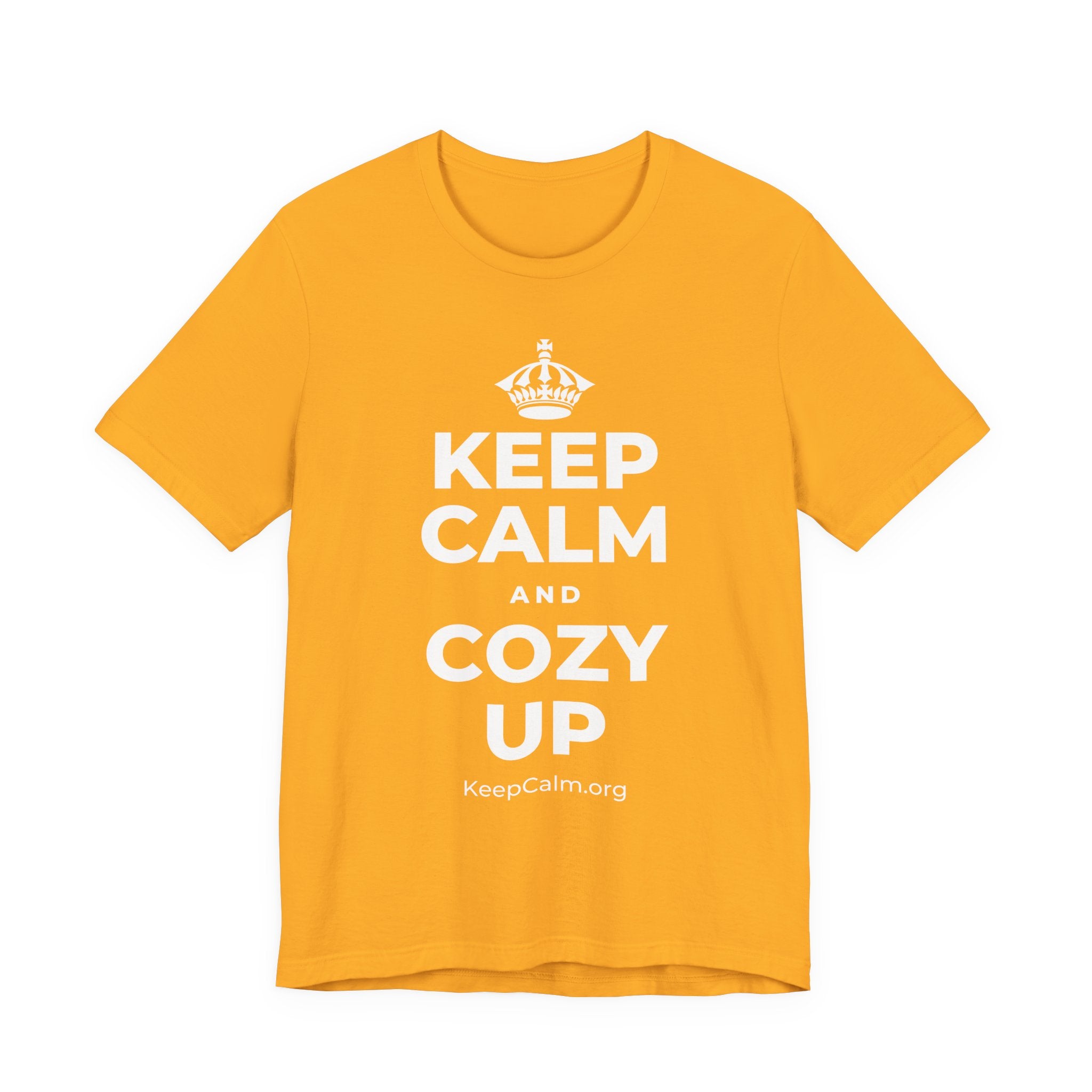 KEEP CALM AND COZY UP T-Shirt (Baby Blue–Silver)