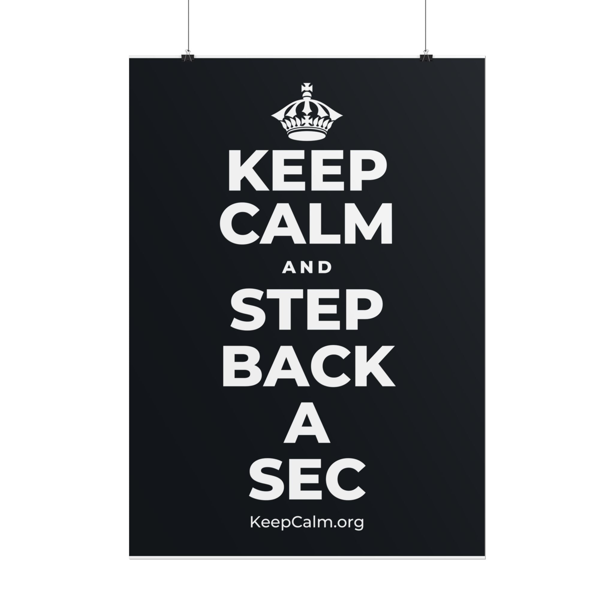 KEEP CALM AND STEP BACK A SEC Poster (Dark)