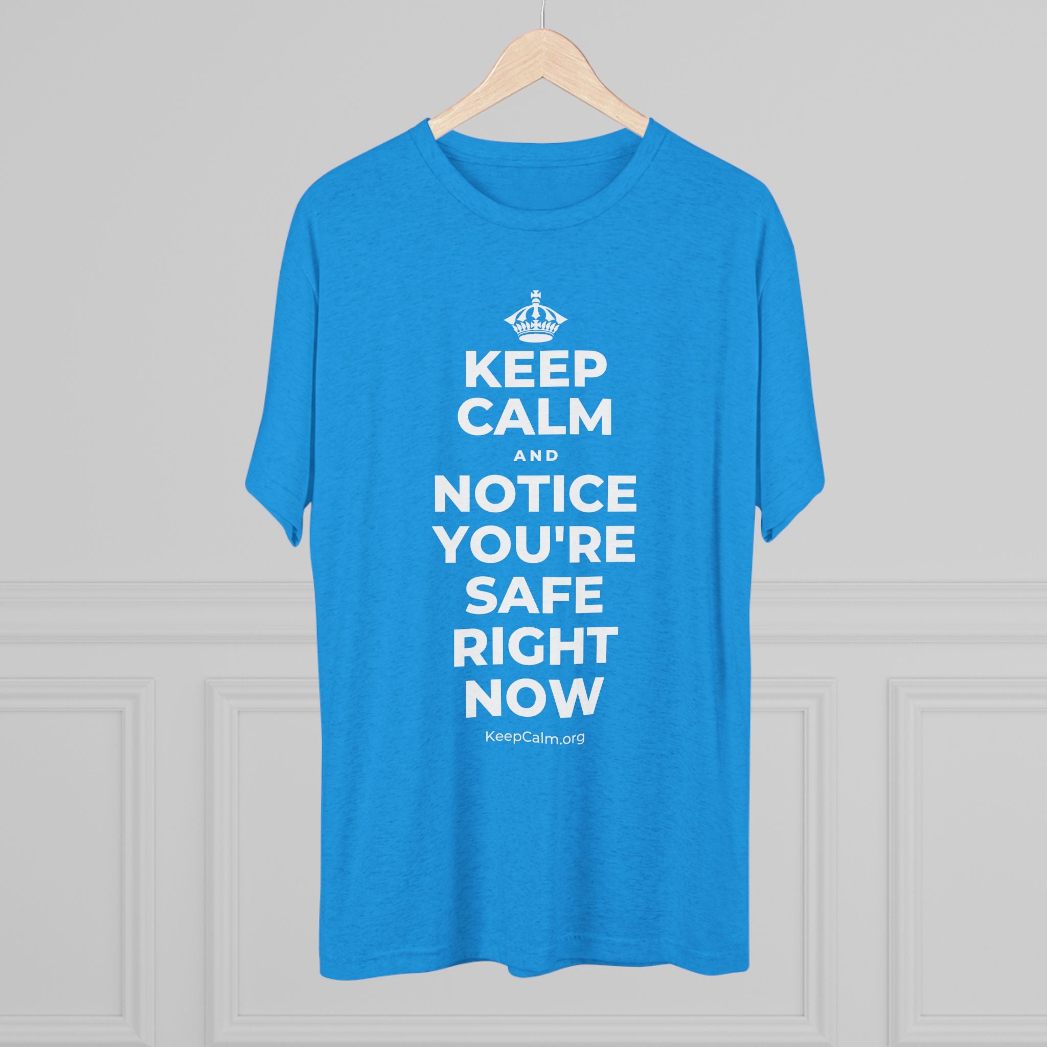 KEEP CALM AND NOTICE YOU'RE SAFE RIGHT NOW Tri-Blend Tee