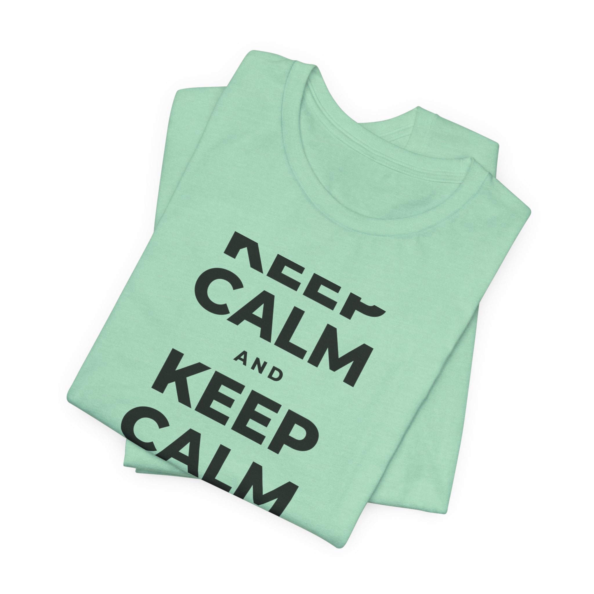 KEEP CALM AND TAKE A WALK T-Shirt (Baby Blue–Silver)