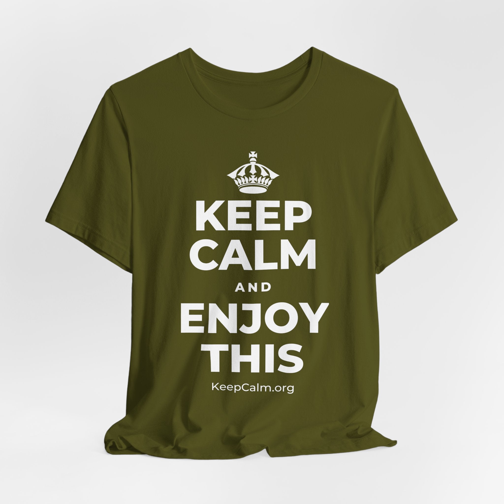 KEEP CALM AND ENJOY THIS T-Shirt (Baby Blue–Silver)