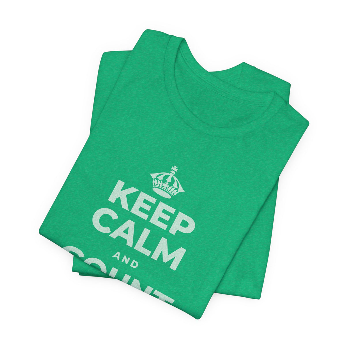 KEEP CALM AND COUNT WHAT YOU HAVE T-Shirt (Baby Blue–Silver)