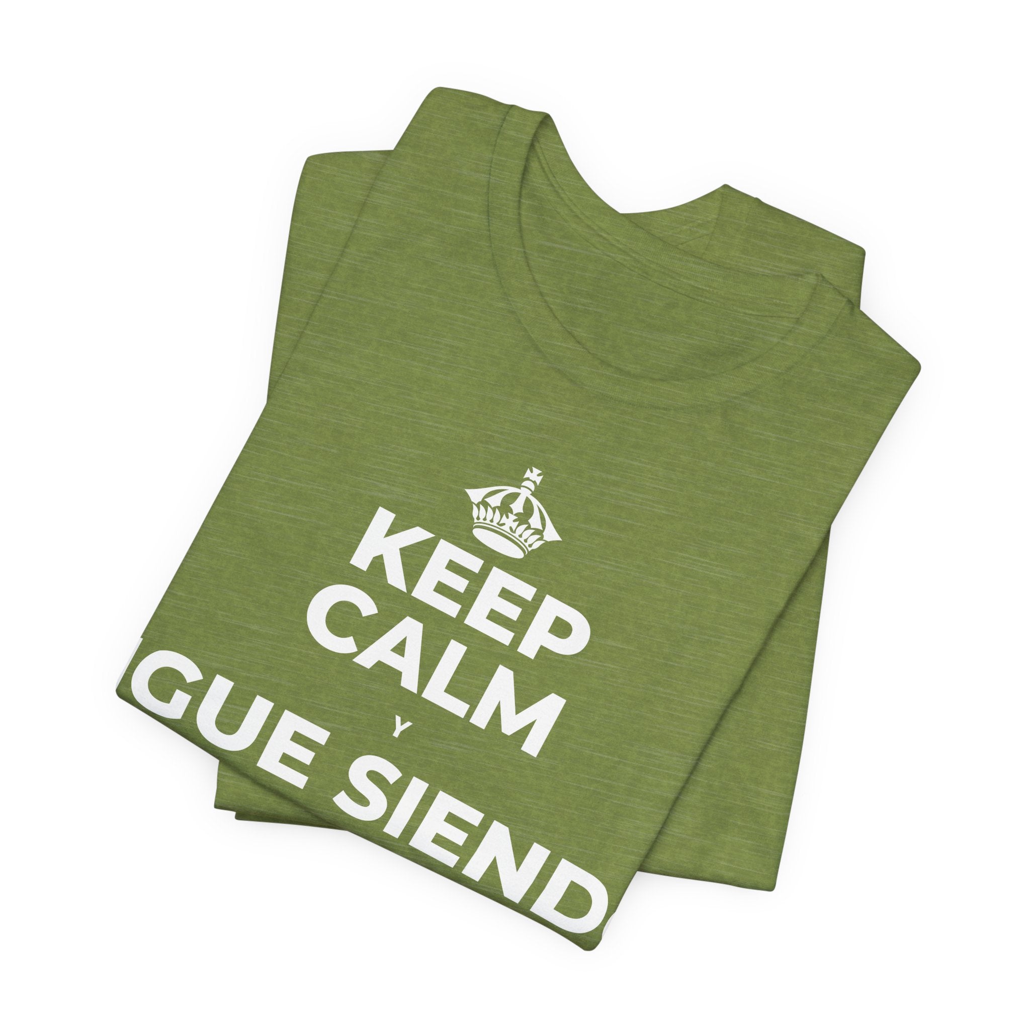 KEEP CALM Y SIGUE SIENDO PRINCIPIANTE T-Shirt (Baby Blue–Silver)