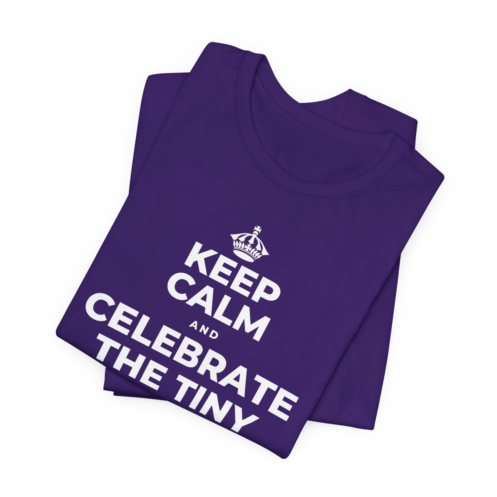 KEEP CALM AND CELEBRATE THE TINY VICTORIES EVERY SINGLE DAY T-Shirt (Soft Cream–Heather Mauve)