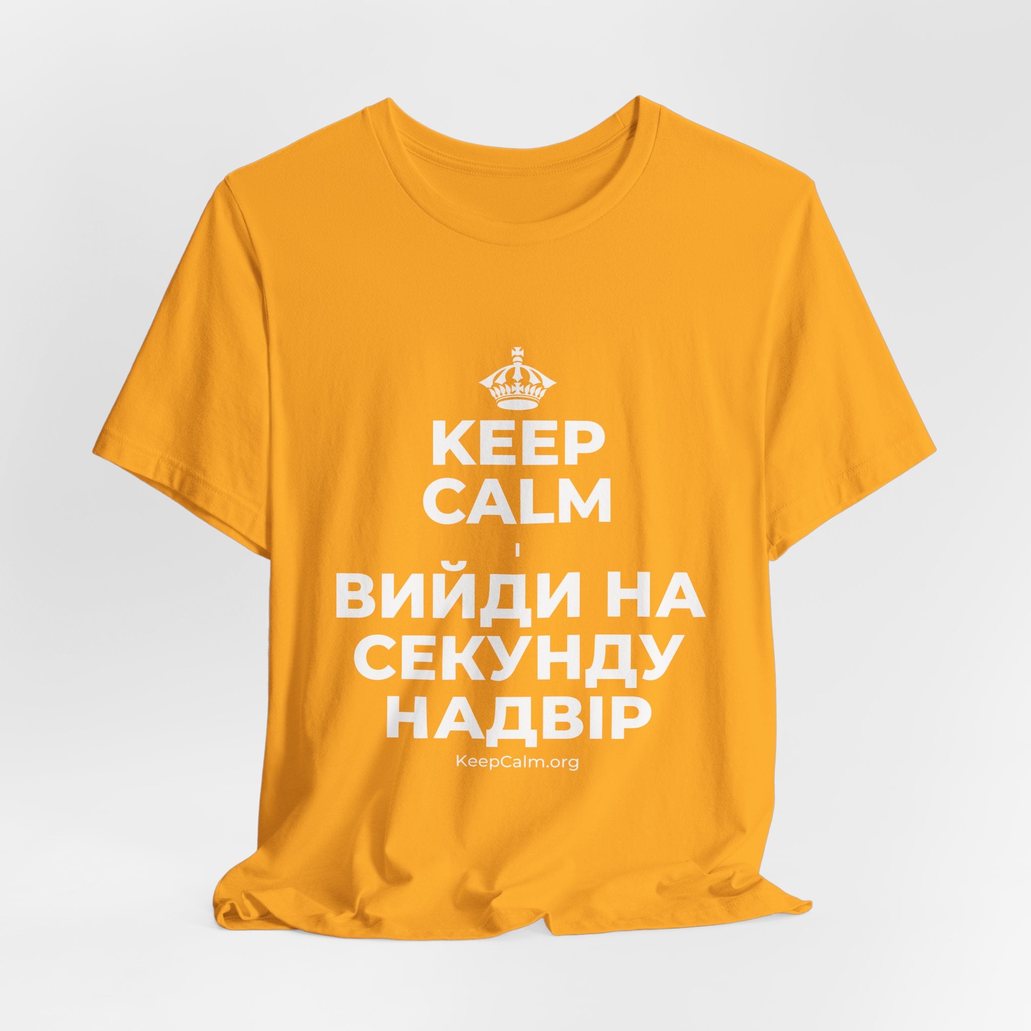 KEEP CALM І ВИЙДИ НА СЕКУНДУ НАДВІР T-Shirt (Baby Blue–Silver)