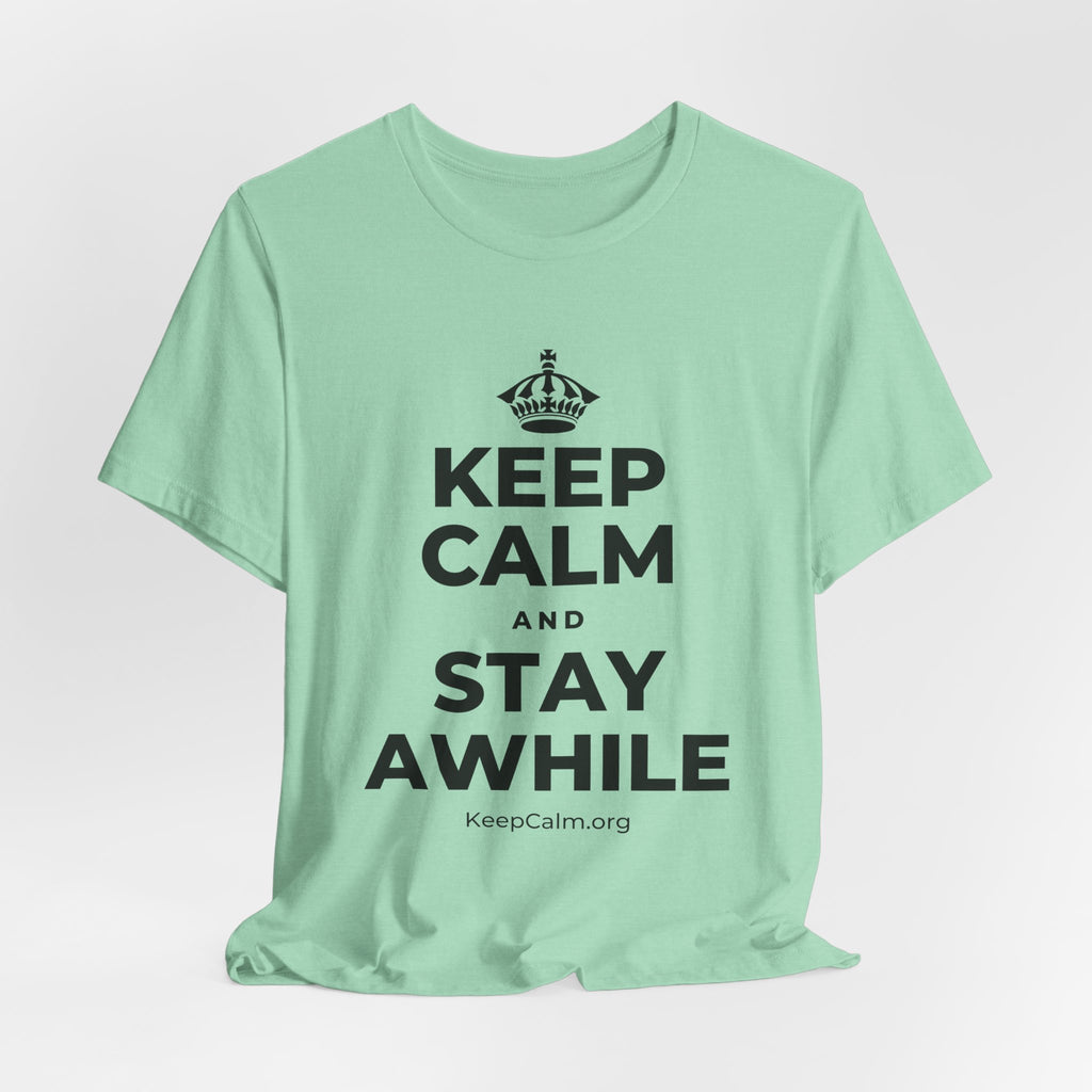 KEEP CALM AND STAY AWHILE T-Shirt (Baby Blue–Silver)
