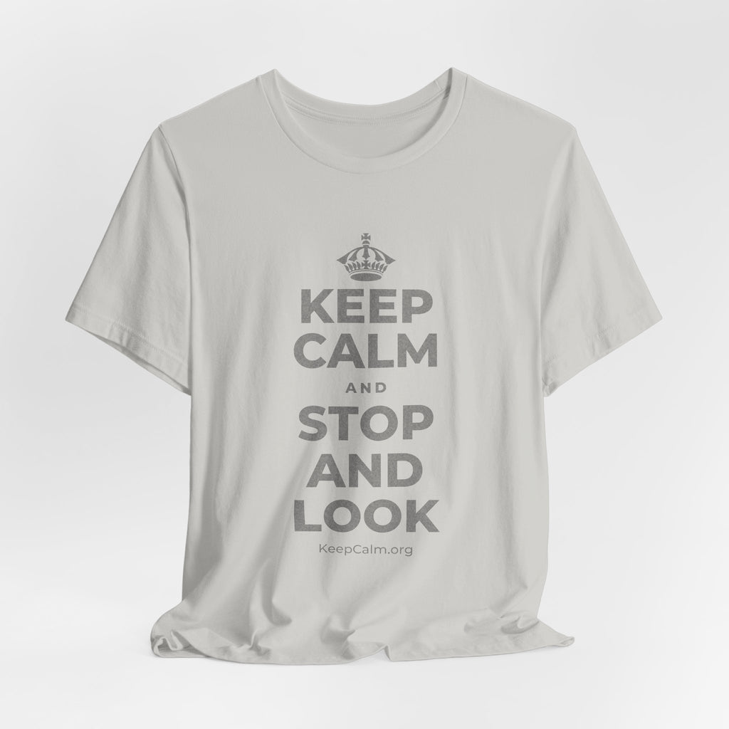 KEEP CALM AND STOP AND LOOK T-Shirt (Baby Blue–Silver)
