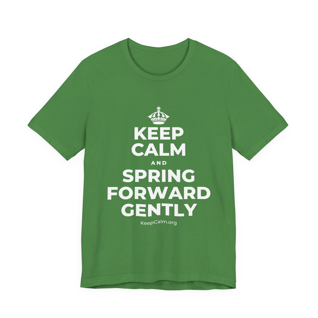 KEEP CALM AND SPRING FORWARD GENTLY T-Shirt (Baby Blue–Silver)