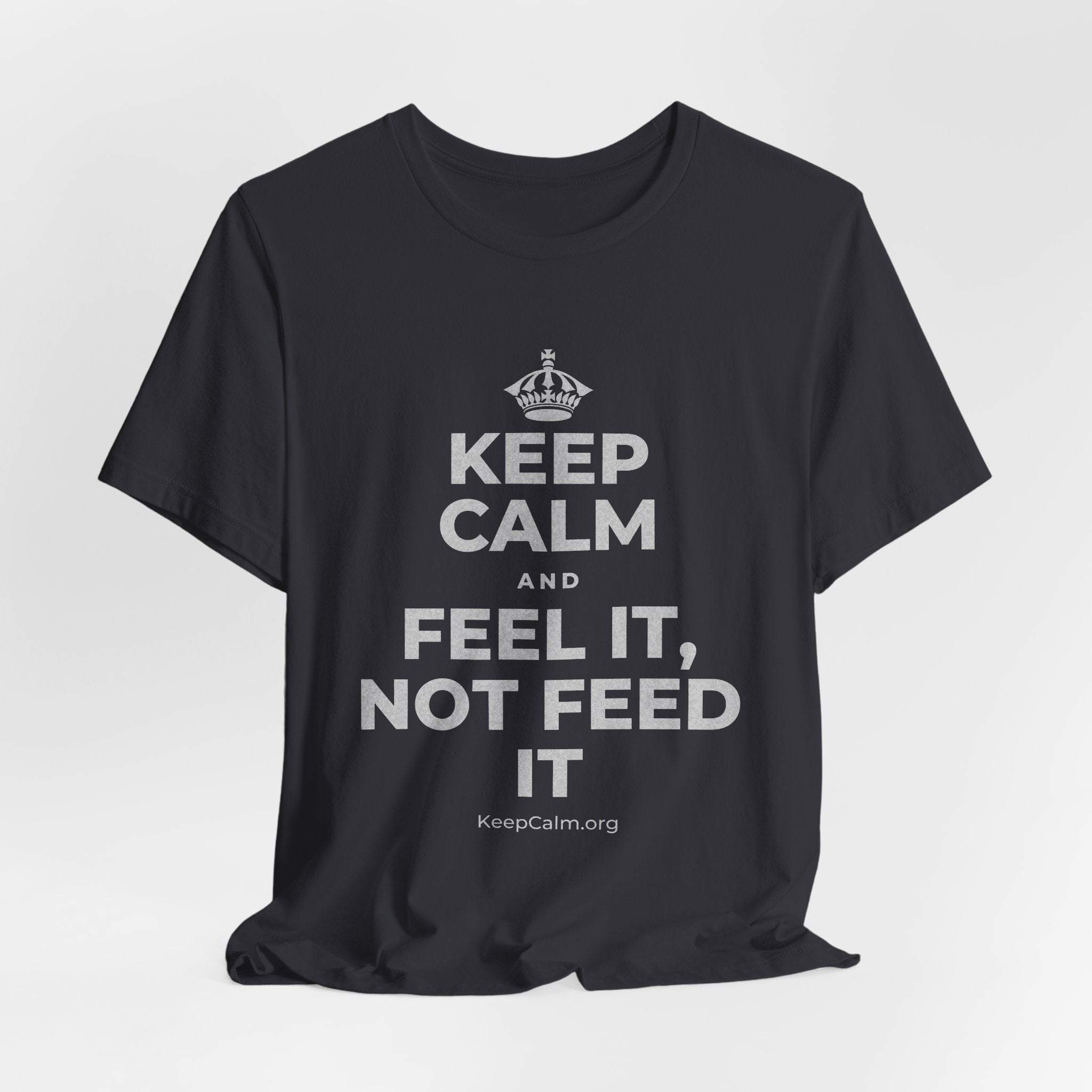 KEEP CALM AND FEEL IT, NOT FEED IT T-Shirt (Baby Blue–Silver)
