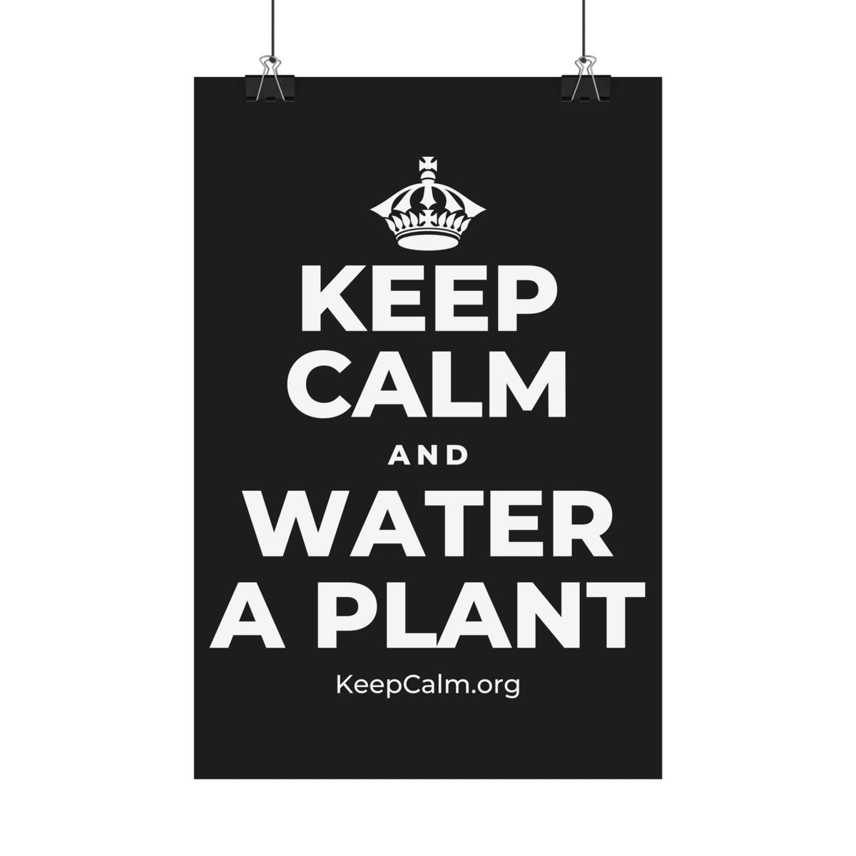 KEEP CALM AND WATER A PLANT Satin Poster