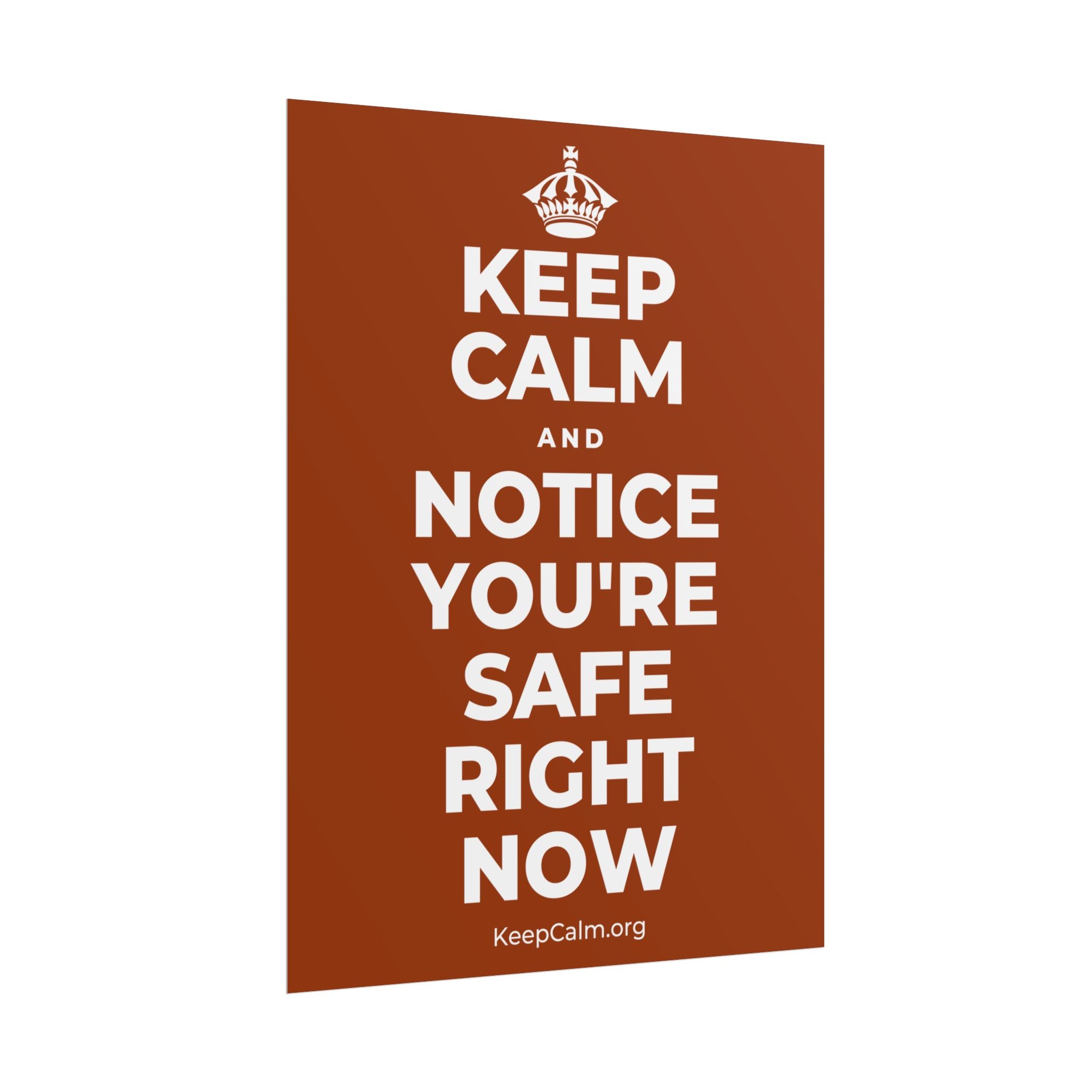 KEEP CALM AND NOTICE YOU'RE SAFE RIGHT NOW Poster