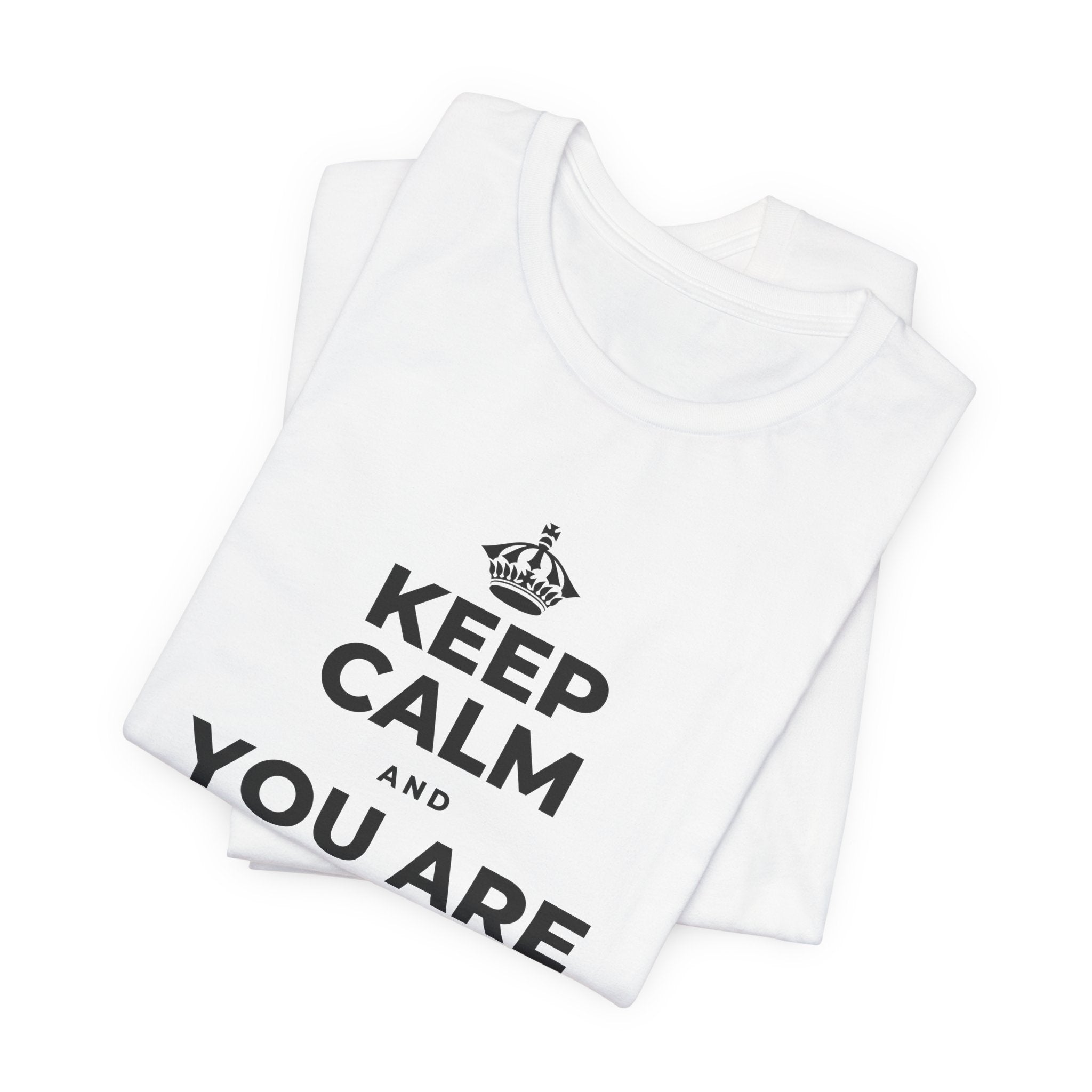 KEEP CALM AND YOU ARE DOING GREAT TODAY T-Shirt (White–Asphalt)