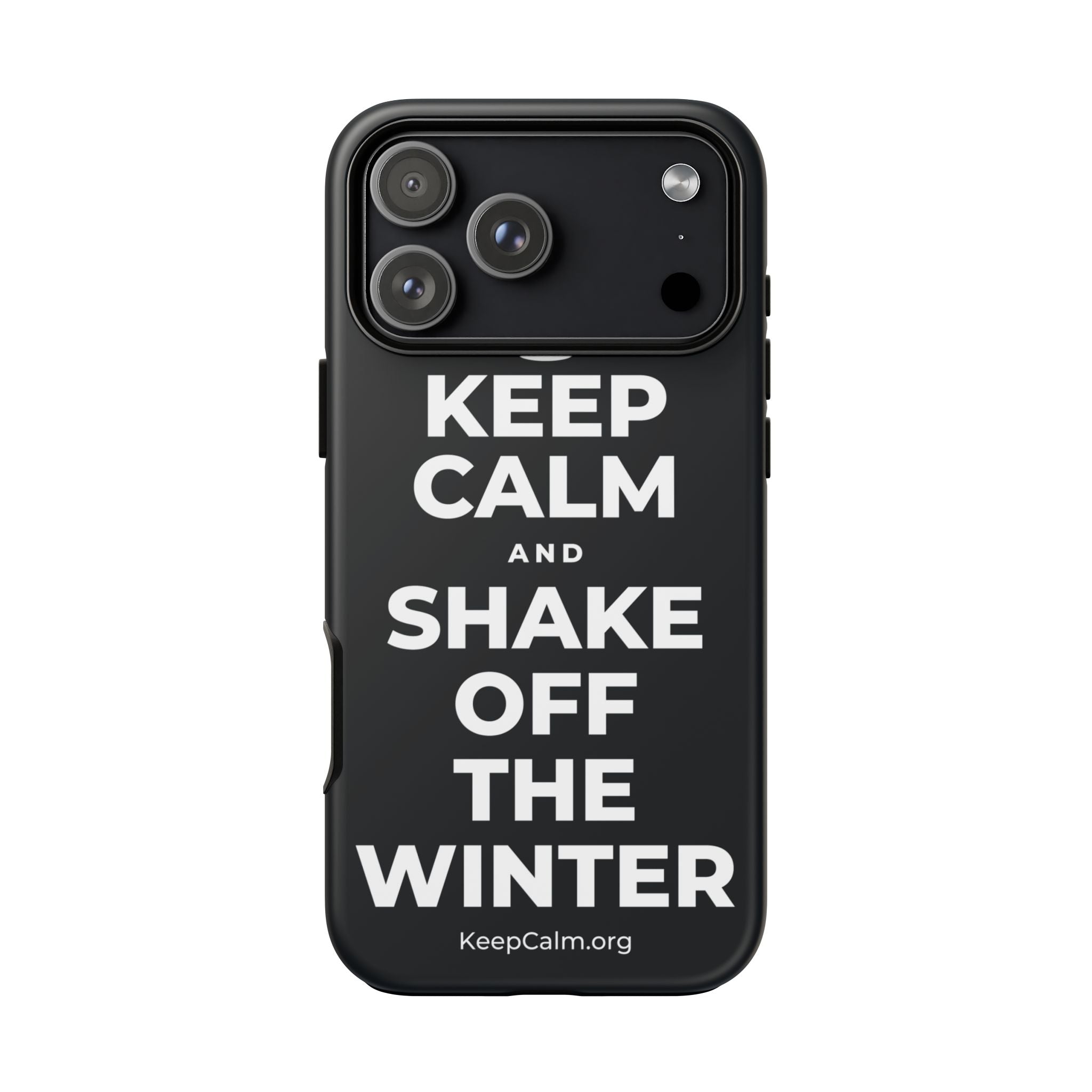 KEEP CALM AND SHAKE OFF THE WINTER Phone Case (Dark)