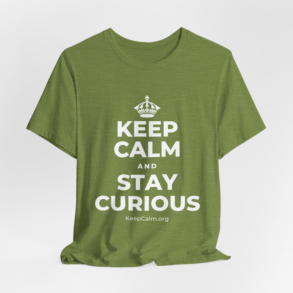 KEEP CALM AND STAY CURIOUS T-Shirt (Baby Blue–Silver)