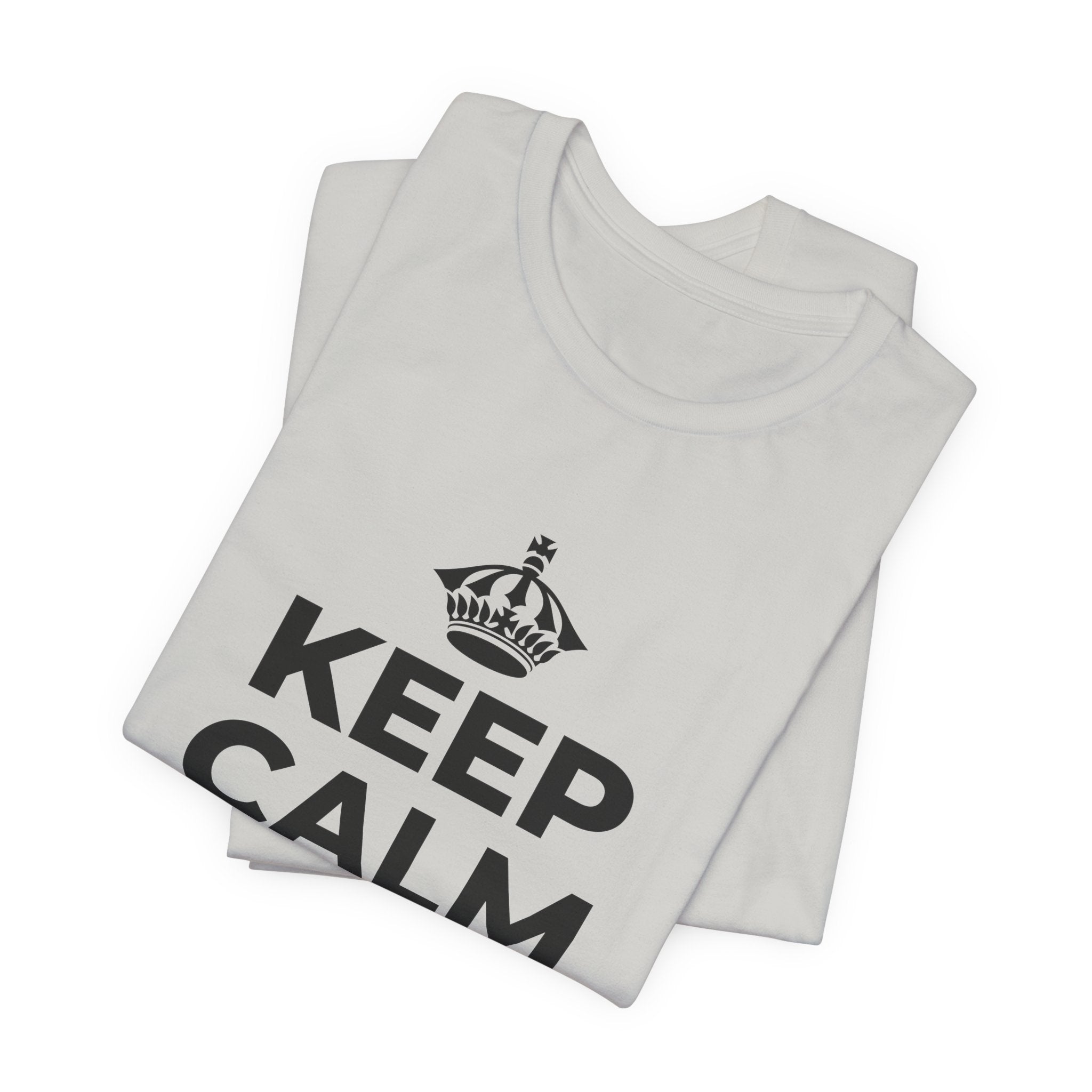 KEEP CALM AND OWN IT T-Shirt (Baby Blue–Silver)