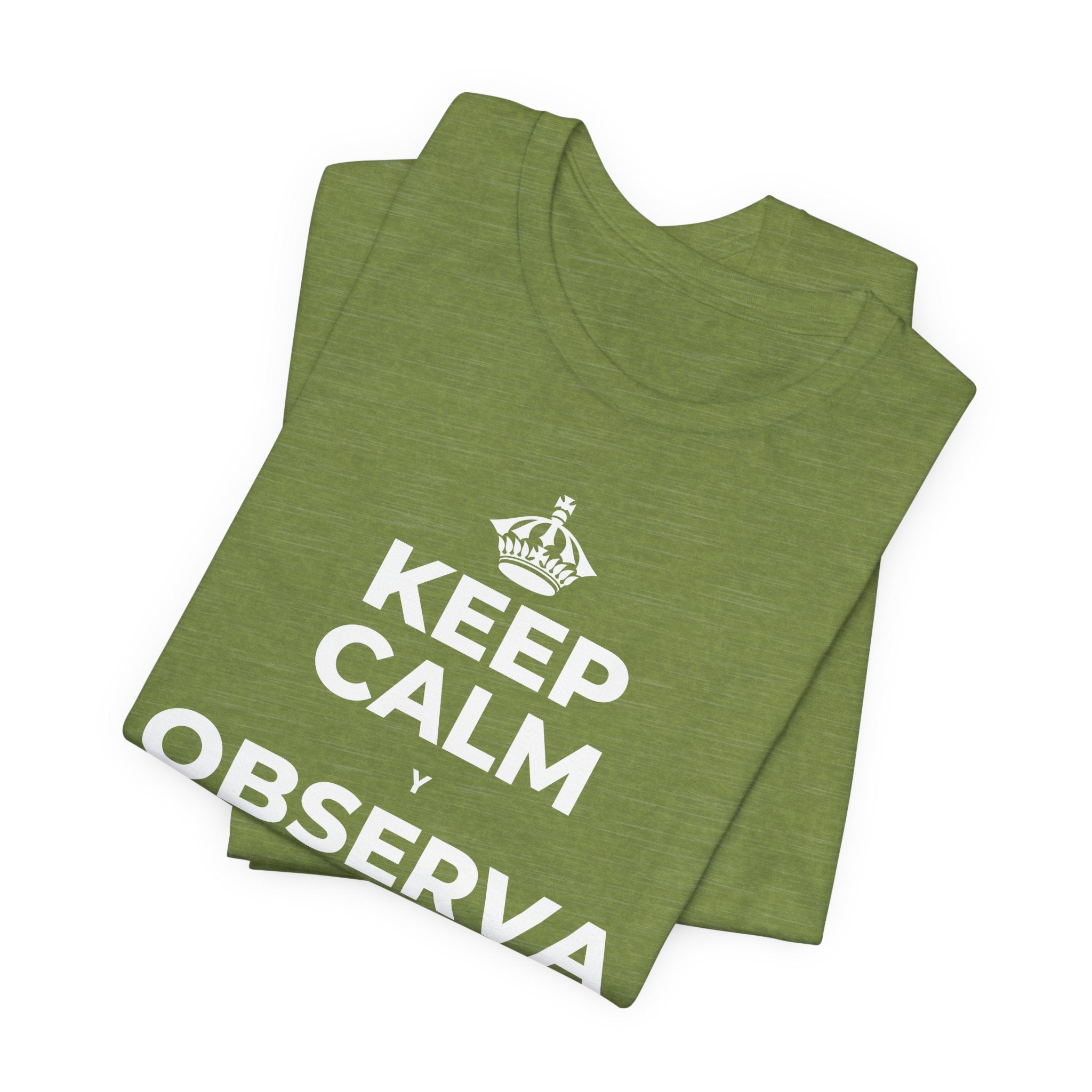 KEEP CALM Y OBSERVA CÓMO TODO FLORECE T-Shirt (Baby Blue–Silver)